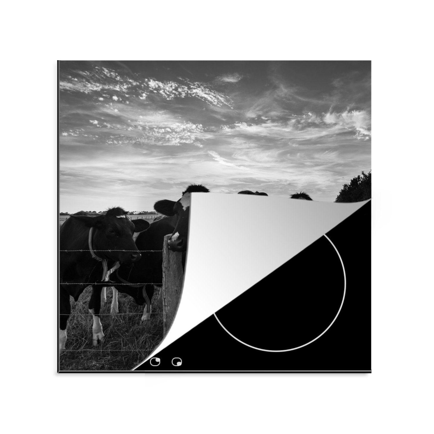 MuchoWow Herdblende-/Abdeckplatte Induktionsschutz - Kühe - Bauernhof - Induktionsmatte, Vinyl, (1 tlg), 78x78 cm, Ceranfeldabdeckung, Arbeitsplatte für küche