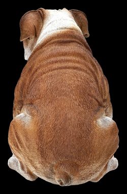 Figuren Shop GmbH Tierfigur Bulldoggen Figur sitzend - Dekoration Tierdeko Hunde Dekofigur