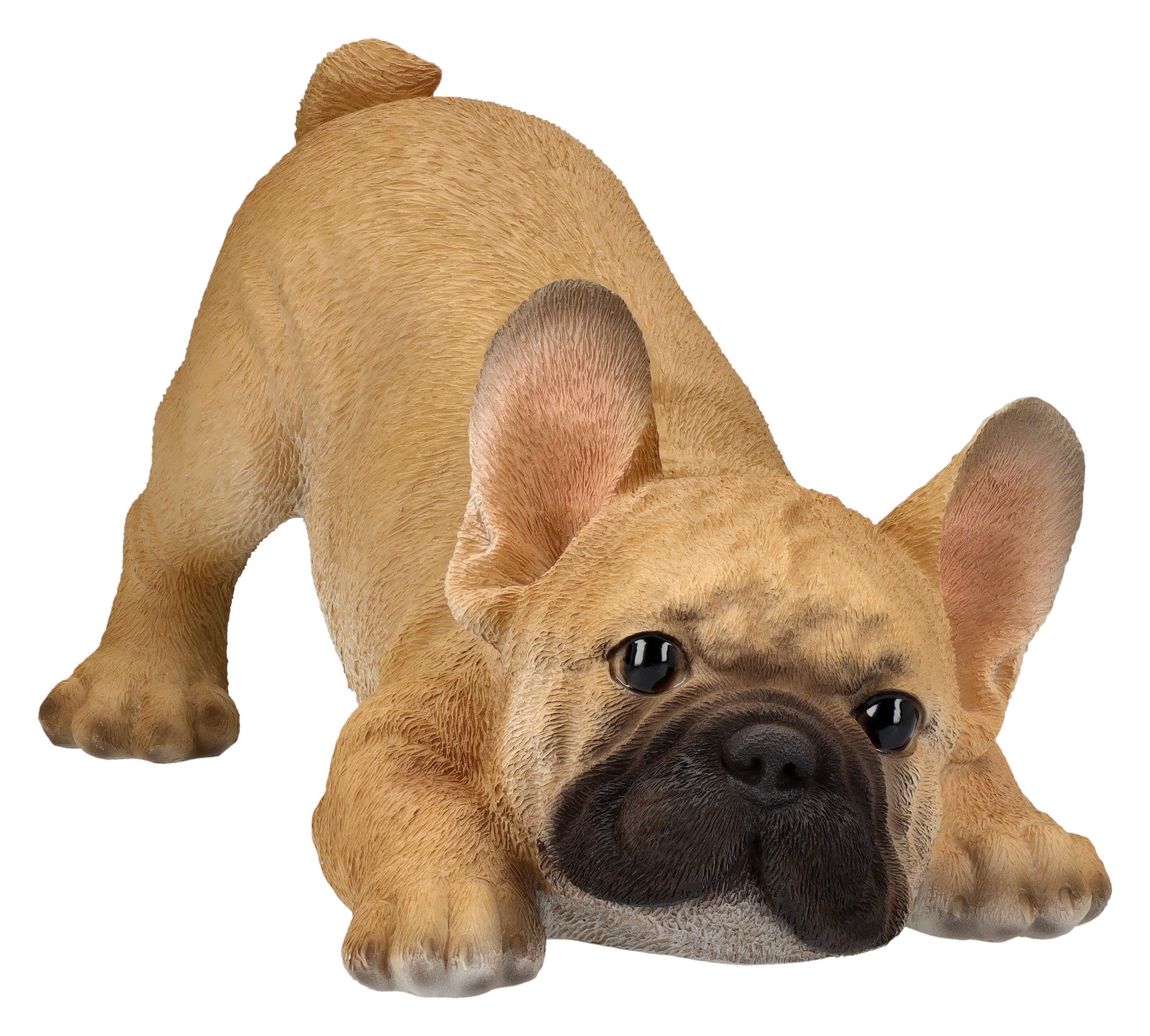 Figuren Shop GmbH Tierfigur Hundefigur - Französische Bulldogge Welpe will spielen - Hund Dogge