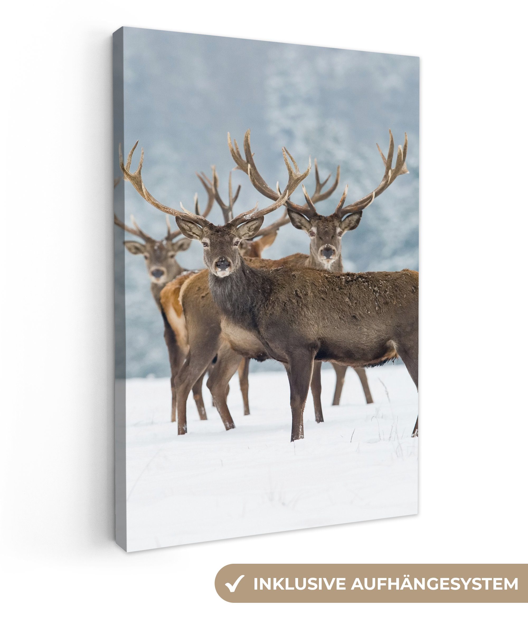 OneMillionCanvasses® Leinwandbild Hirsche - Tiere - Schnee - Winter - Lands günstig online kaufen