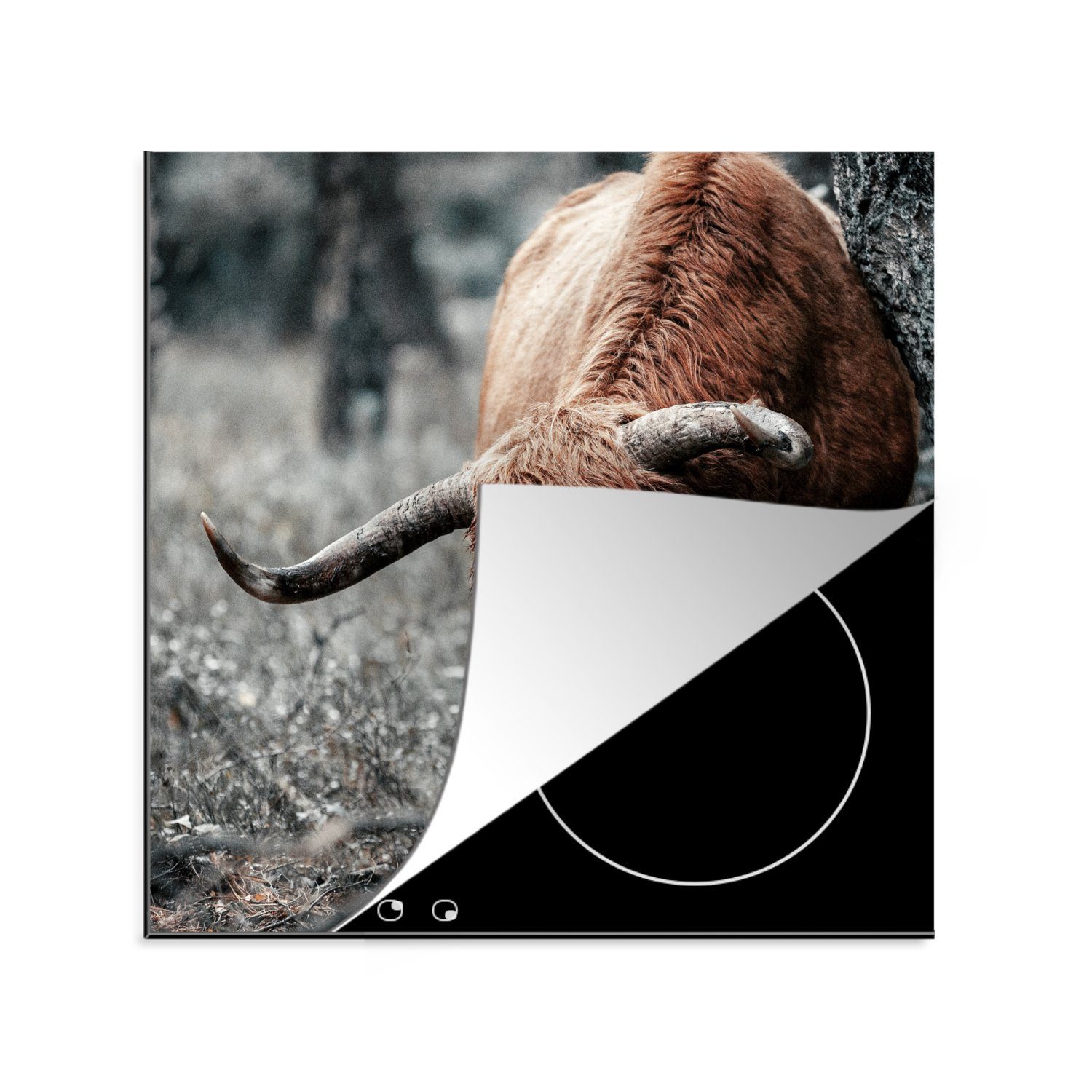 Kuh küche - Schottischer Vinyl, Herdblende-/Abdeckplatte tlg), Highlander Winter, Arbeitsplatte Ceranfeldabdeckung, für MuchoWow - cm, (1 78x78