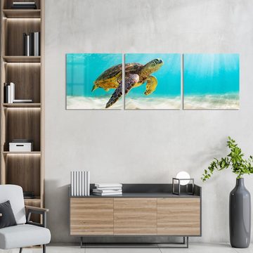 DEQORI Glasbild 'Schildkröte unter Wasser', 'Schildkröte unter Wasser', Glas Wandbild Bild schwebend modern