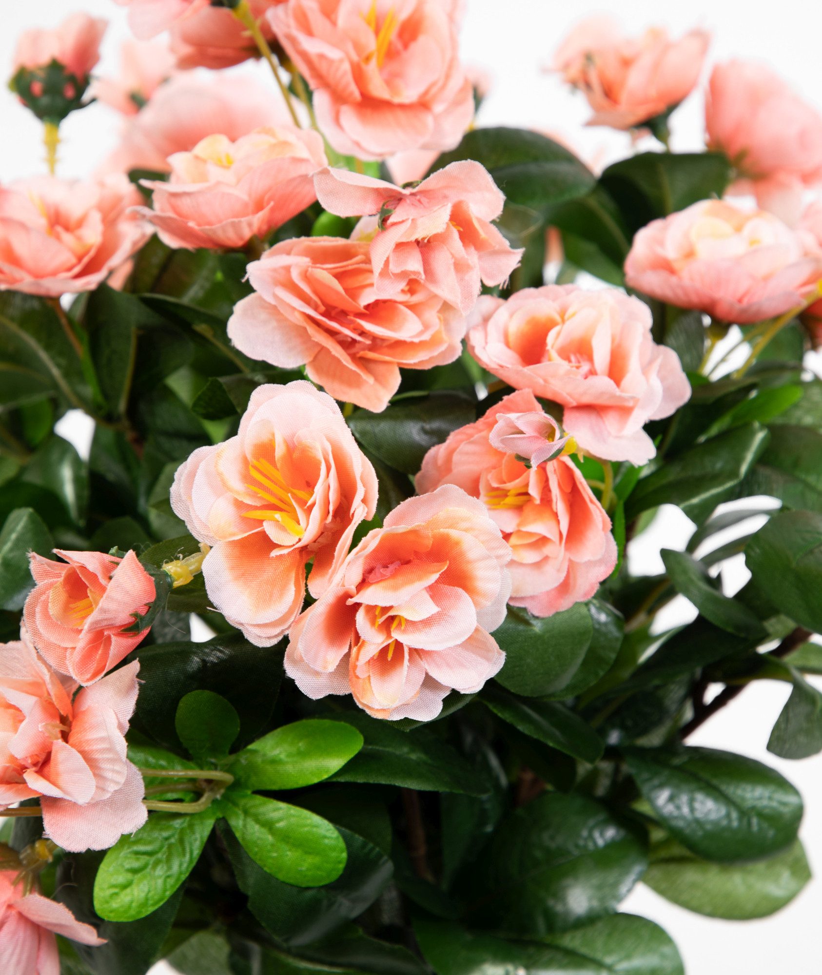 Kunstblume Azalee 40cm im Topf ZF Kunstpflanzen Kunstblumen künstliche Pfla günstig online kaufen