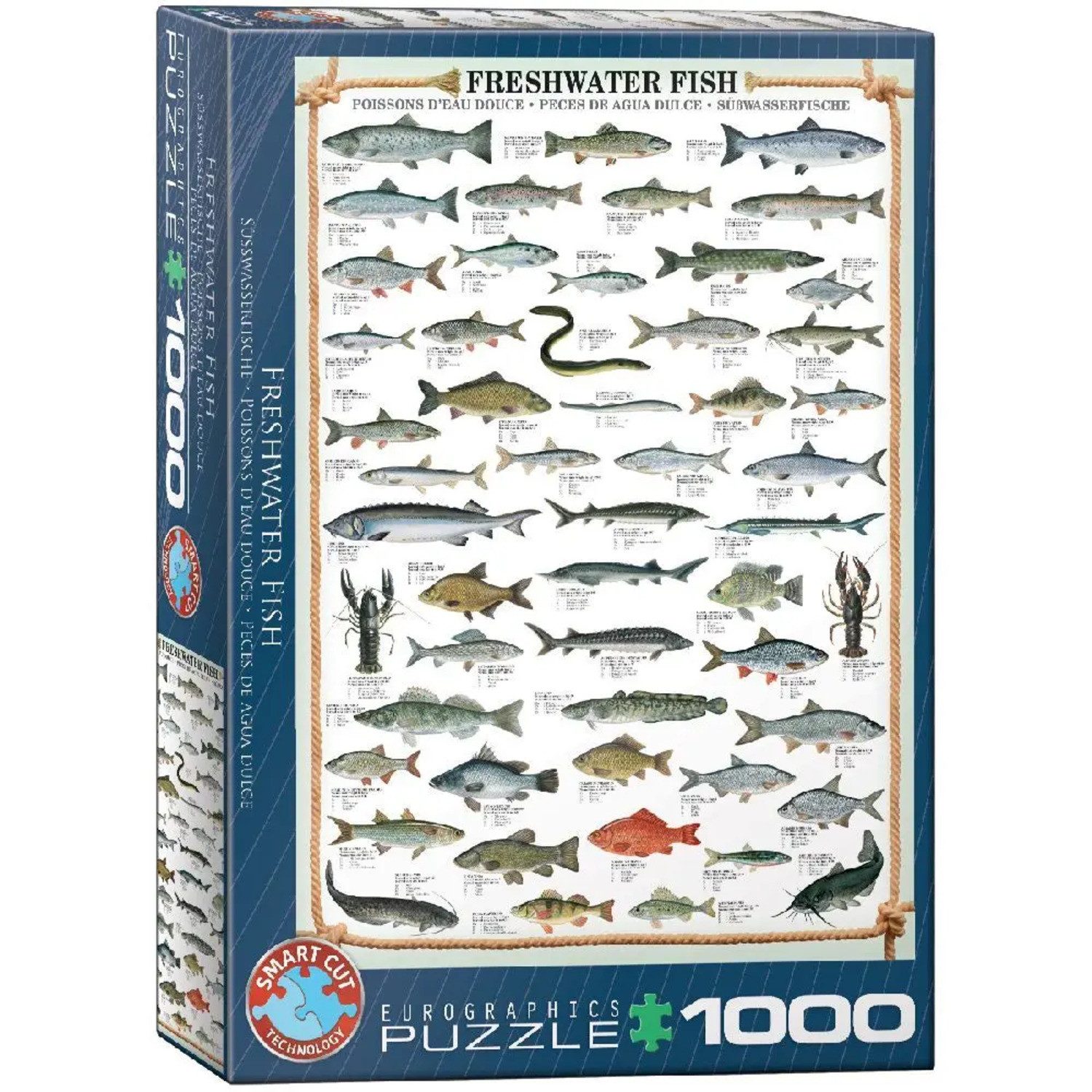 EUROGRAPHICS Puzzle Süßwasserfische, 1000 Puzzleteile günstig online kaufen