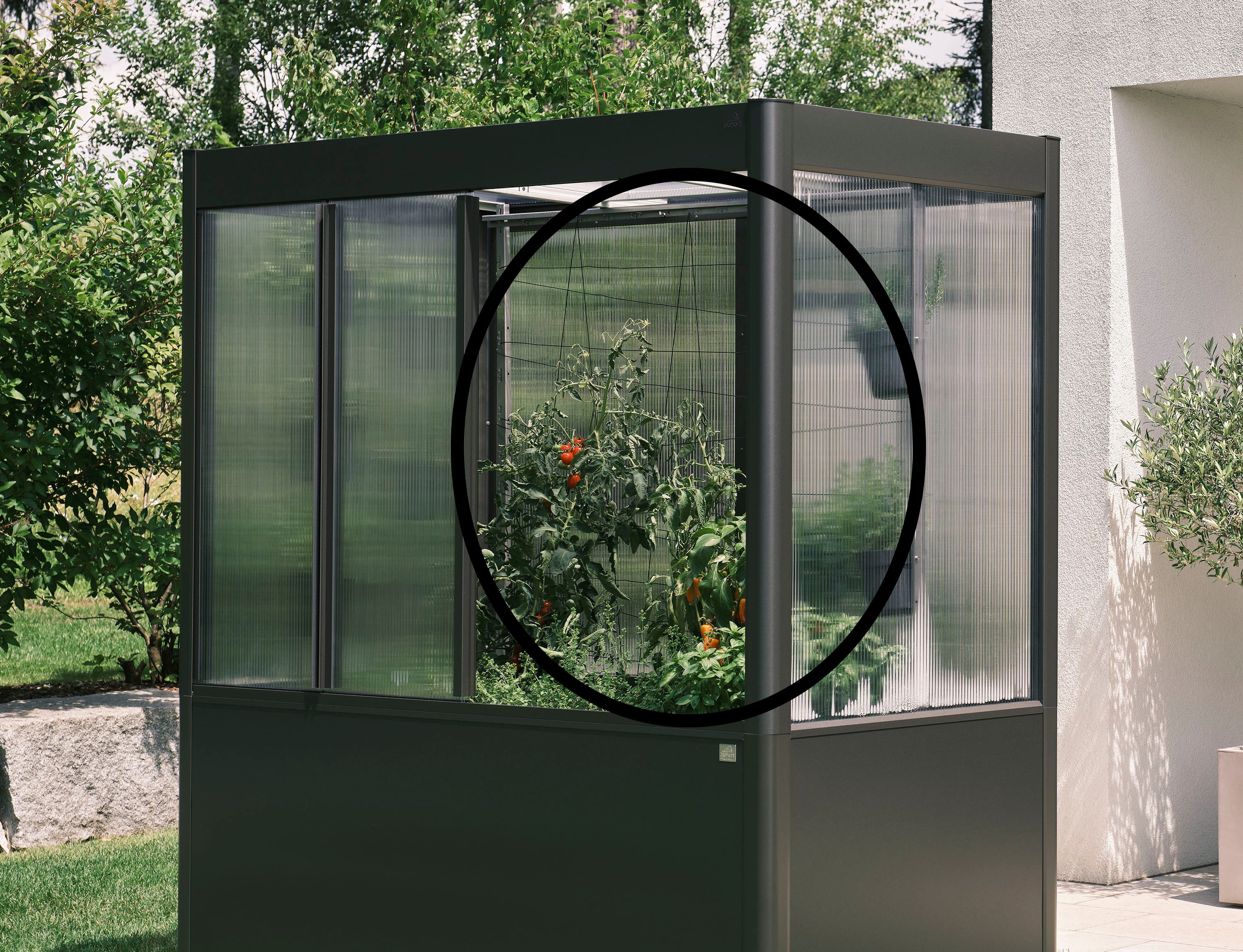 Biohort Rankhilfe für Gewächshaus und/oder Gewächshausaufsatz, passend für Florentina 2x0,5 und 2x1