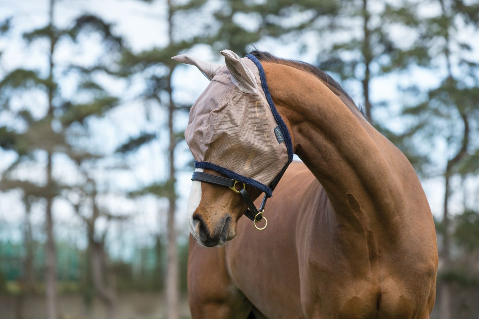 Horseware Fliegenmasken Fliegenmaske Amigo FlyMask