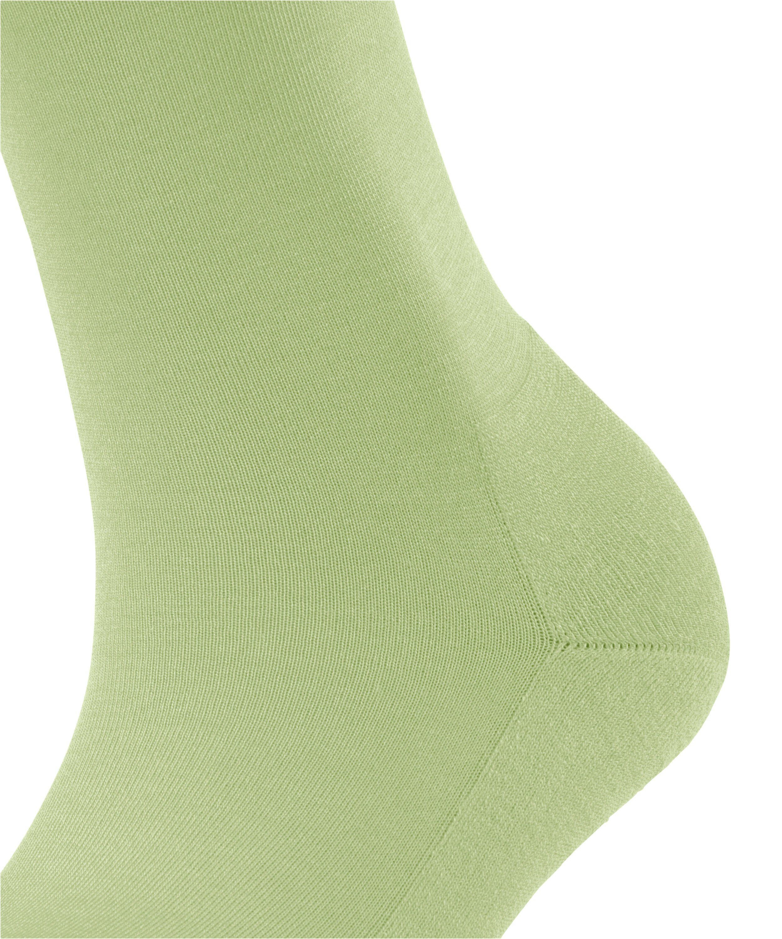 (1-Paar) nile (7428) ClimaWool FALKE Socken