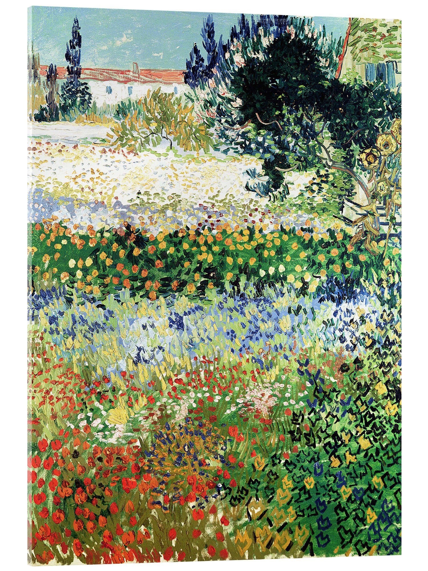 Posterlounge Acrylglasbild Vincent van Gogh, Garten, Arles, Wohnzimmer