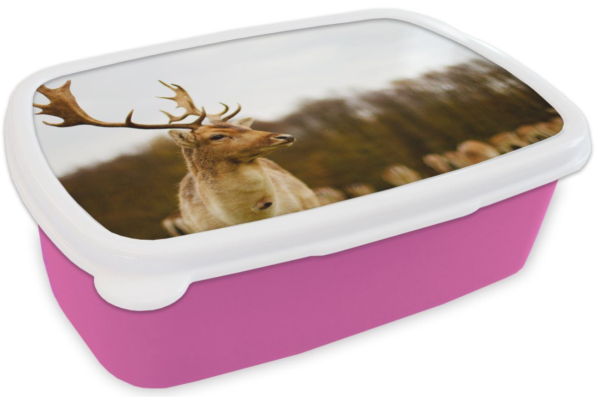 Tiere Brotbox Damhirsch - Mädchen, - Natur, (2-tlg), Wald Brotdose - Lunchbox Kinder, Kunststoff Snackbox, Kunststoff, Herde für Erwachsene, - MuchoWow rosa