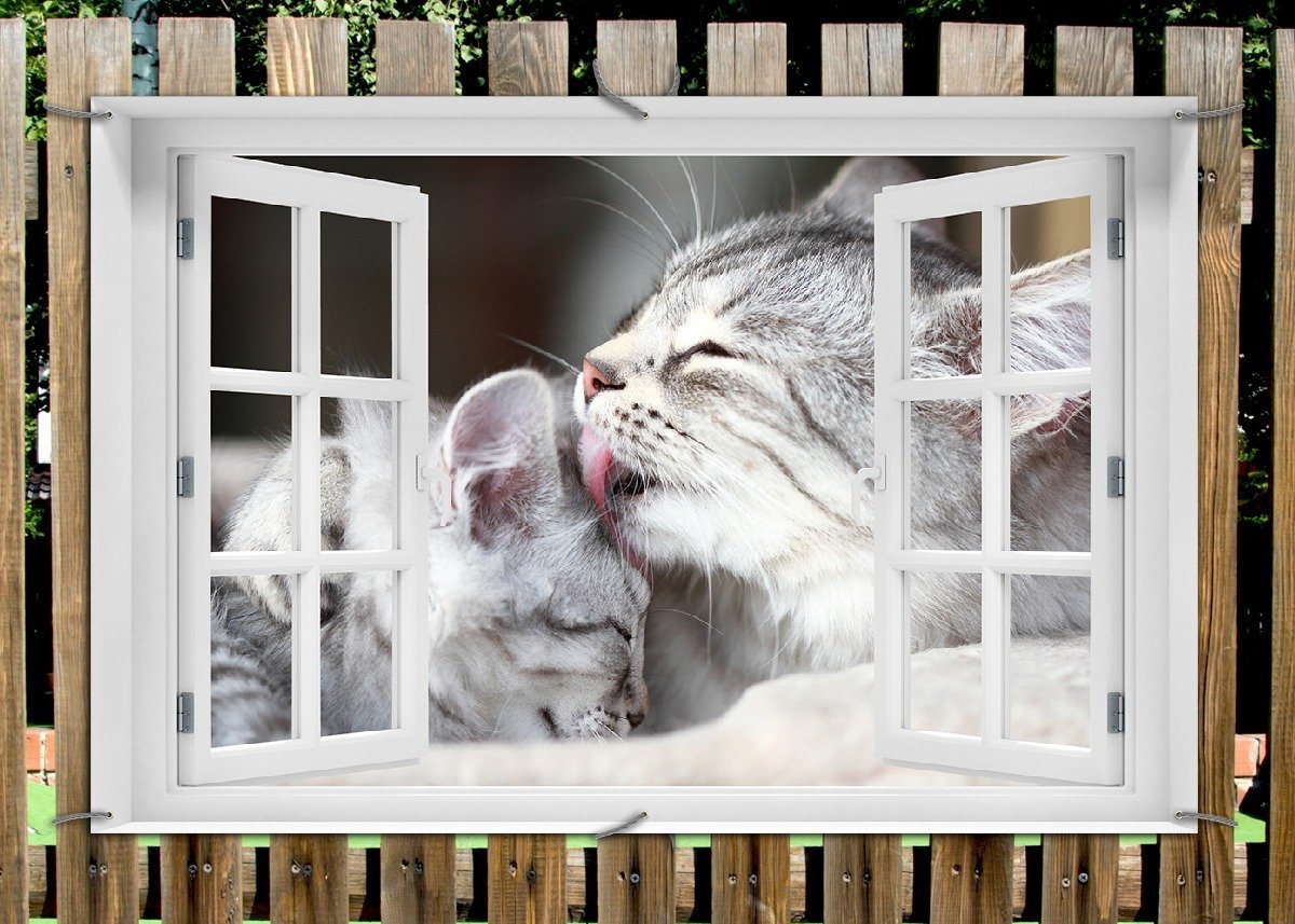 Thumbnail - Wallario Sichtschutzzaunmatten Süße kleine getigerte Katzenbabys, mit Fenster-Illusion