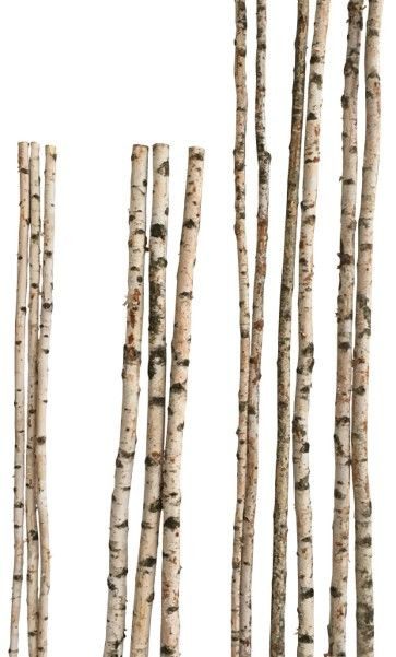 iWerk Dekofigur Birkenstamm 90 cm ø 2-4 cm