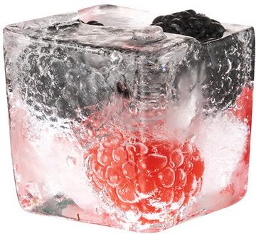 APS Eiswürfelform, (Set 2-tlg), inkl. transparentem Deckel, 4x4x4 cm, für bis zu 9 Eiswürfel