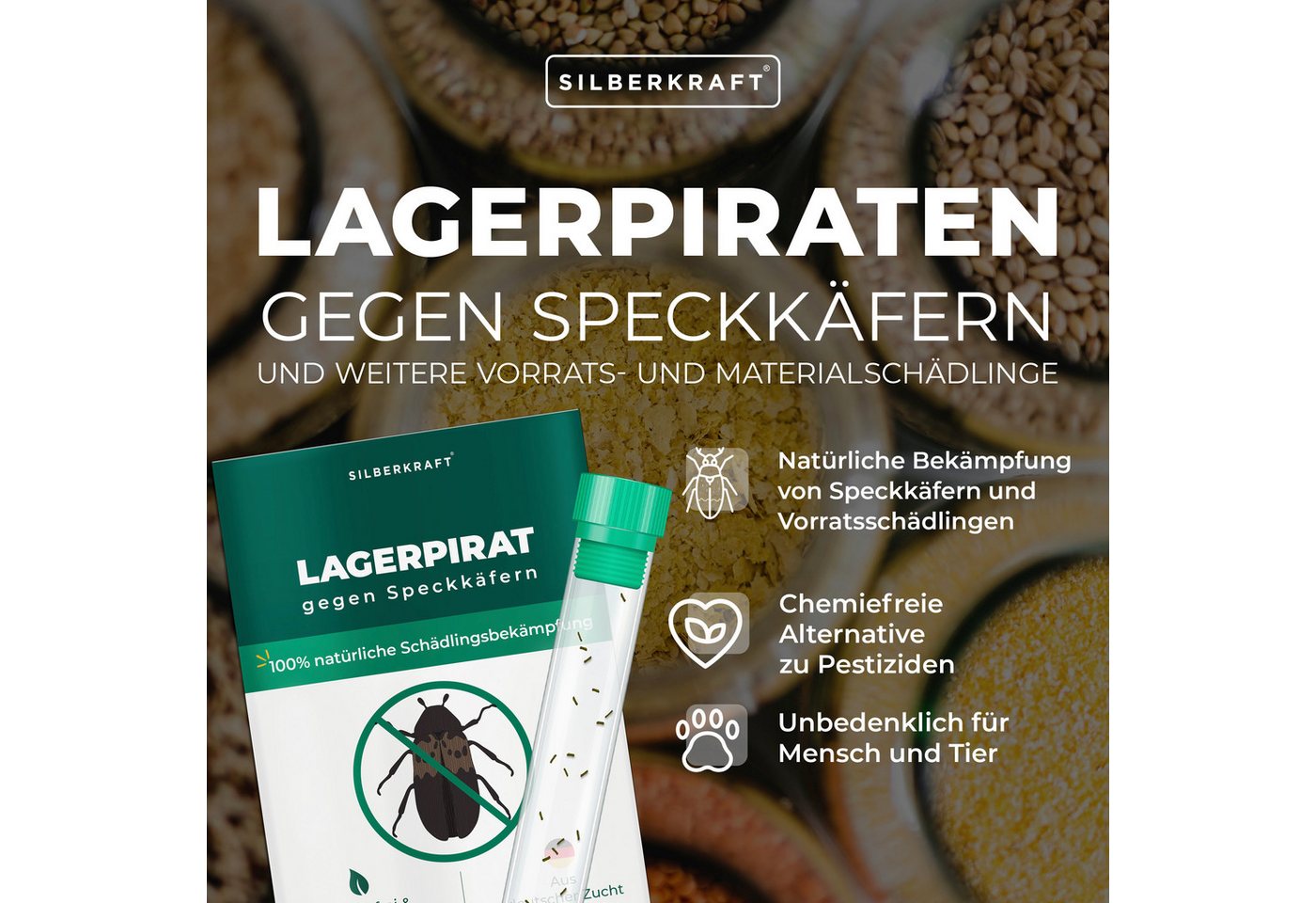 Thumbnail - Silberkraft Insektenvernichter Lagerpiraten – Räuberische Blumenwanzen, Effektiv gegen Teppichkäfer, biologischen Schädl...