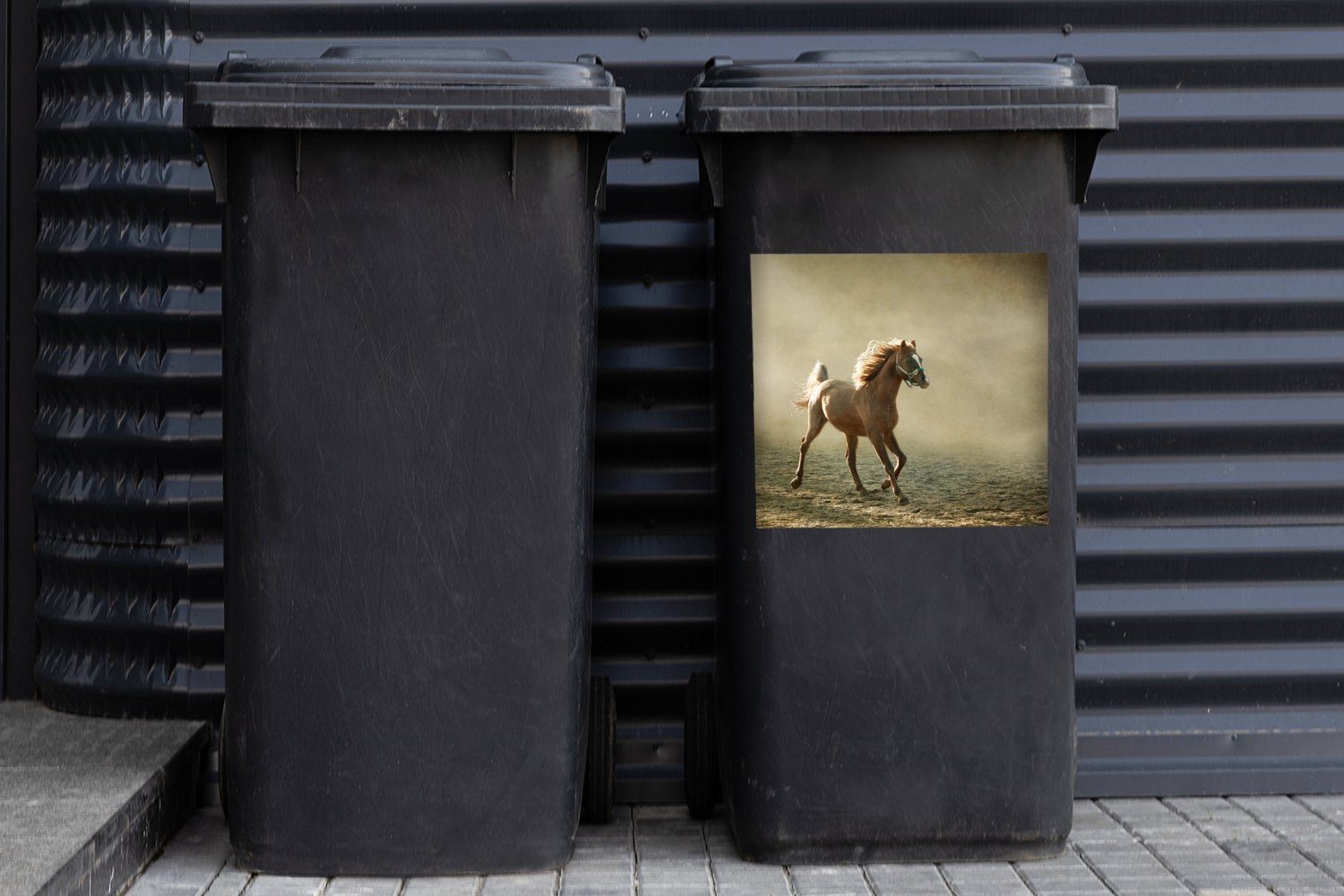 (1 Nebel Abfalbehälter Pferd - Mülltonne, Sand St), - Wandsticker Container, Mülleimer-aufkleber, Sticker, MuchoWow