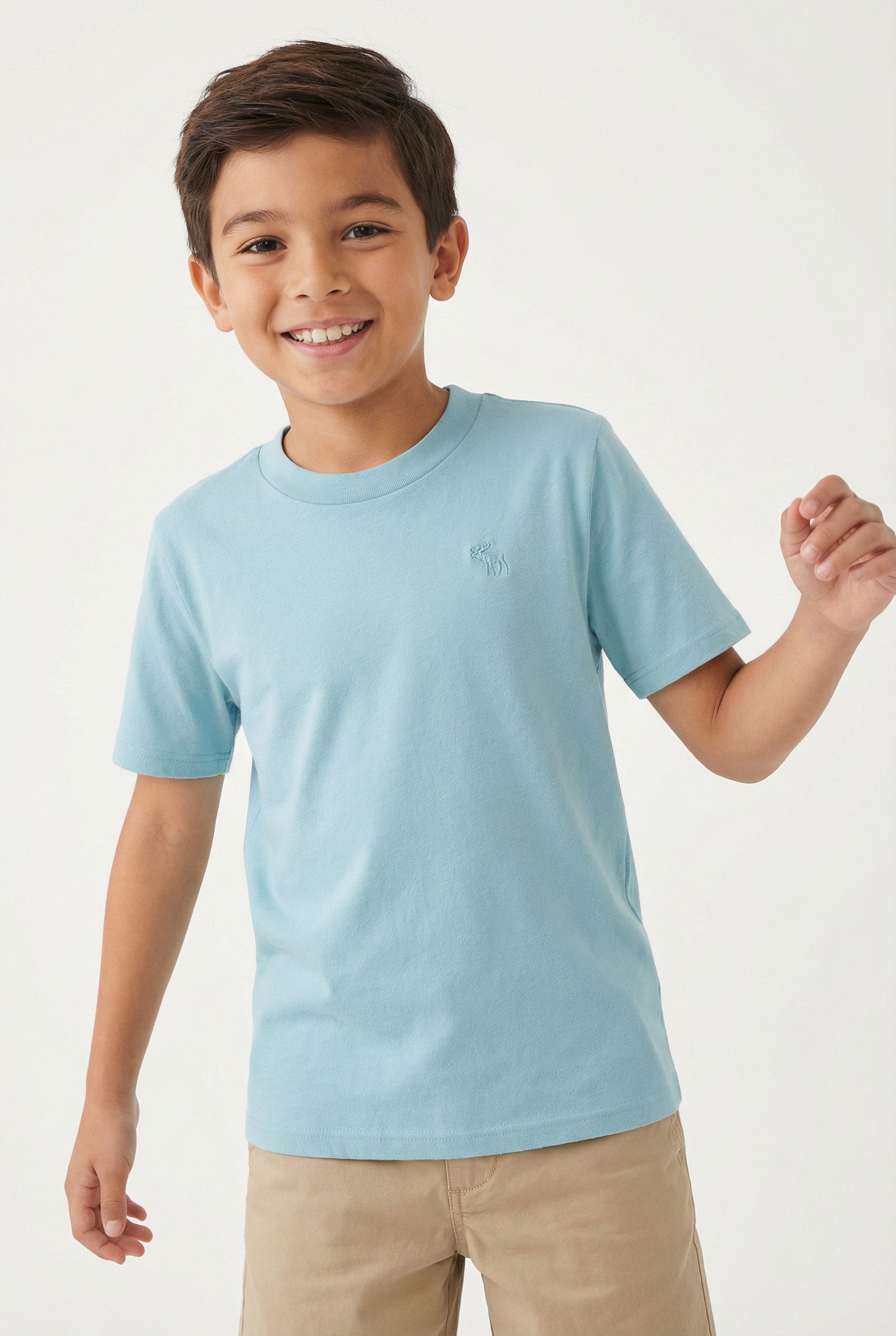 Abercrombie Kids T-Shirt AFBSHORT SLEEVE ESSENTIA mit Logo-Stickerei, for boys