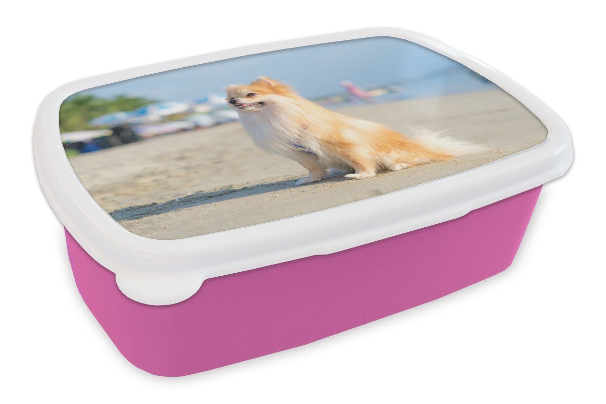 MuchoWow Lunchbox Pomeranian am Strand, Kunststoff, (2-tlg), Brotbox für Erwachsene, Brotdose Kinder, Snackbox, Mädchen, Kunststoff rosa