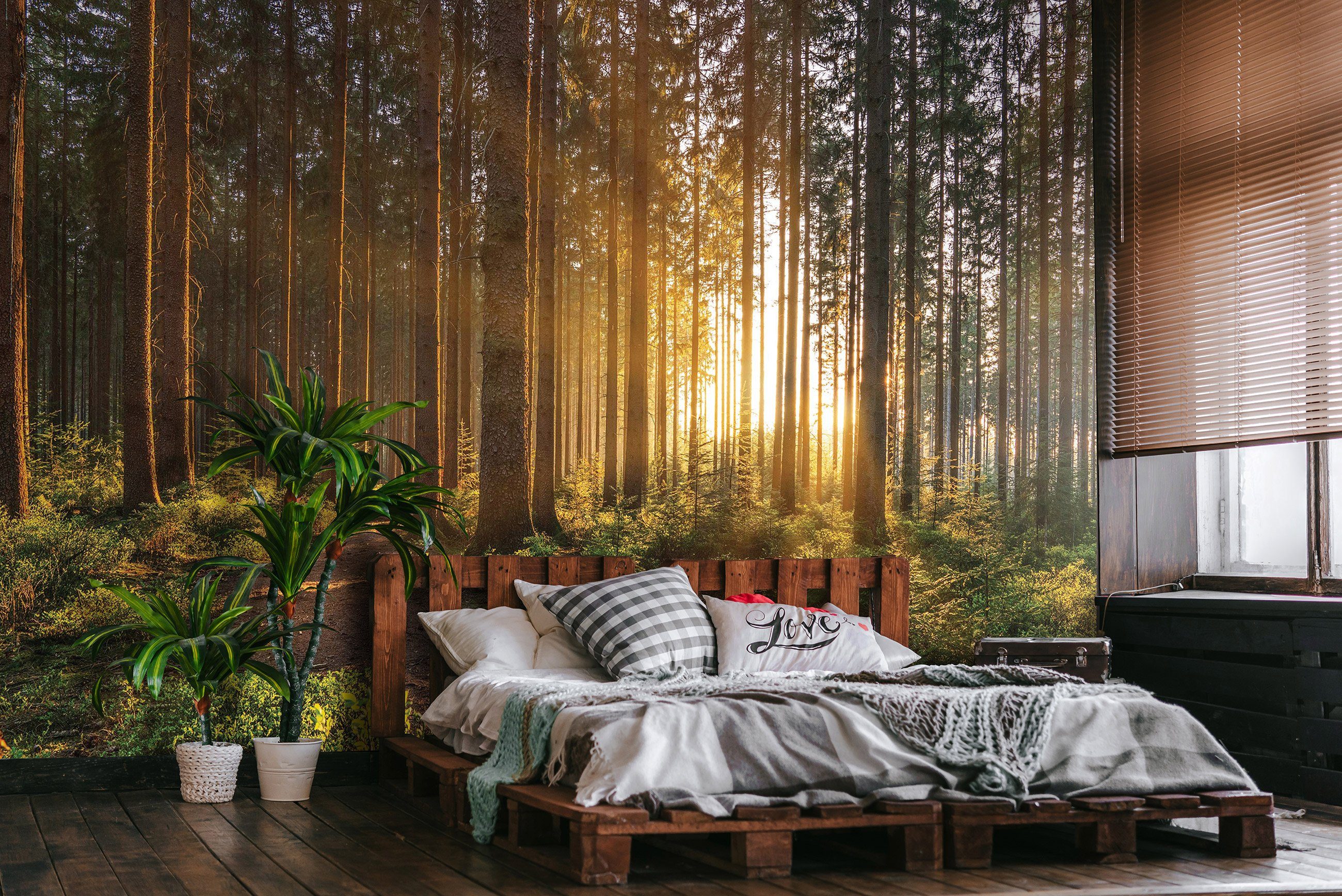 oder Fototapete Vlies Wohnzimmer Glatt, Wald inklusive 3D Schlafzimmer für Vliestapete EFFEKT Tapete Sonne Natur Kleister Wald, Wandtapete Vliestapete Motivtapete, Wallarena