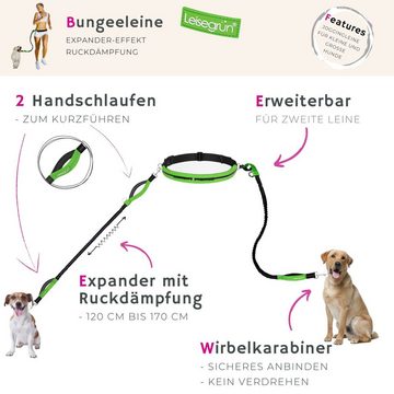 Leisegrün Joggingleine Joggingleine für kleine Hunde mit Bauchgurt, Nylon