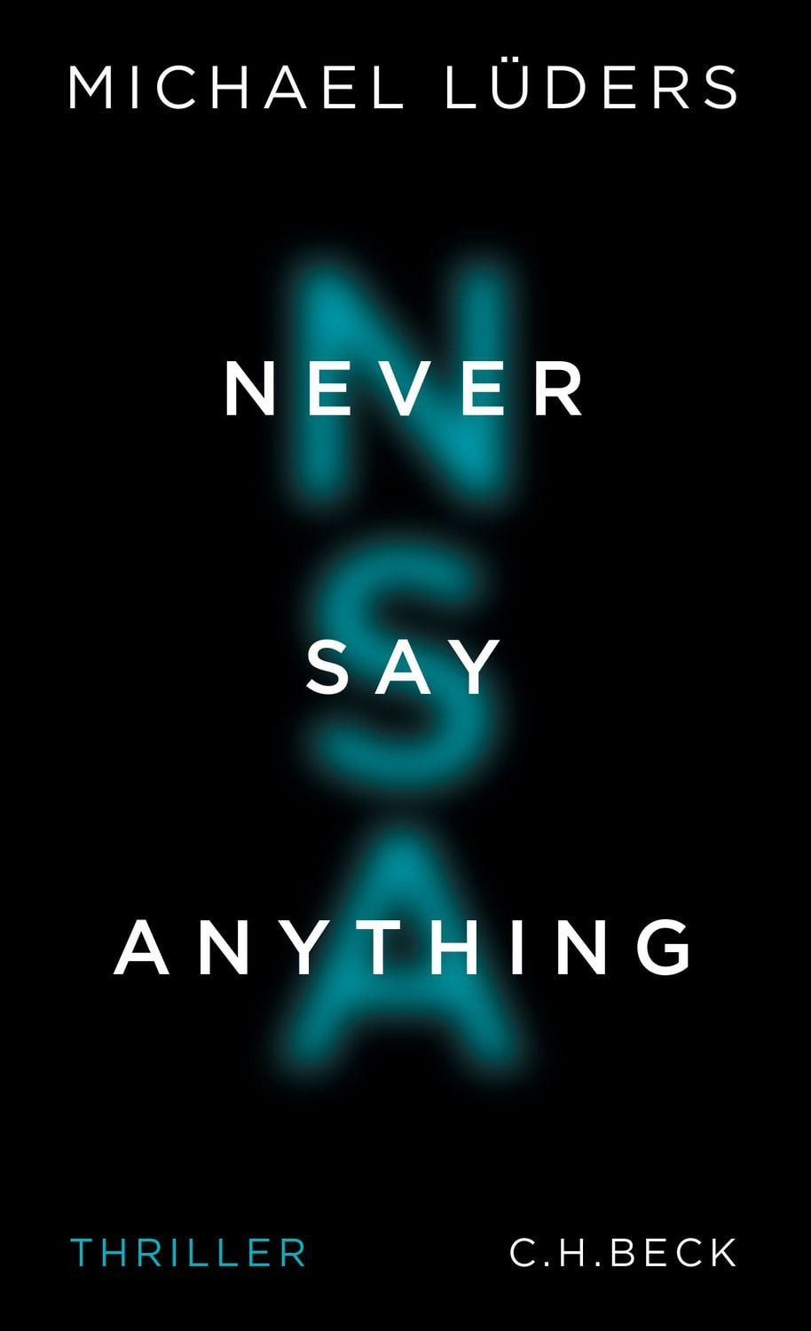 Belletristik Never Say Anything Thriller Michael Lüders