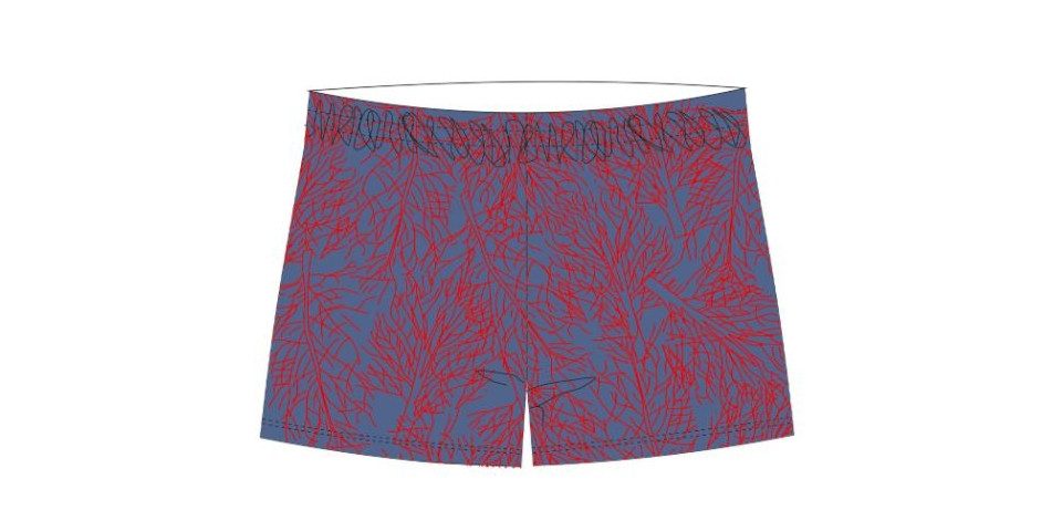 Fashy Купальные шорты  Beachshort blue/red floral