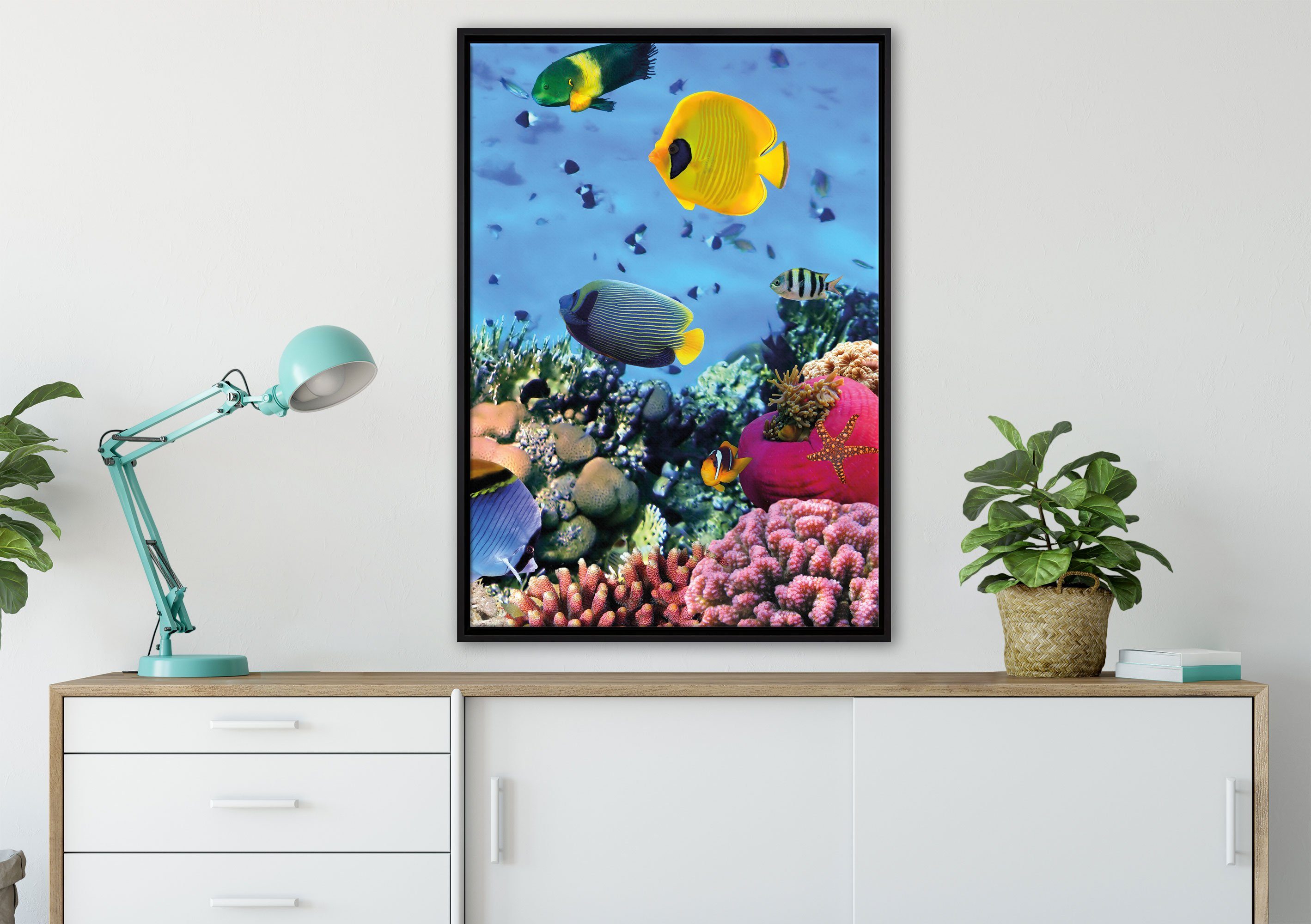 einem Wanddekoration im Fische inkl. fertig gefasst, (1 Pixxprint Schattenfugen-Bilderrahmen in Leinwandbild Korallenriff, St), bespannt, Leinwandbild Zackenaufhänger