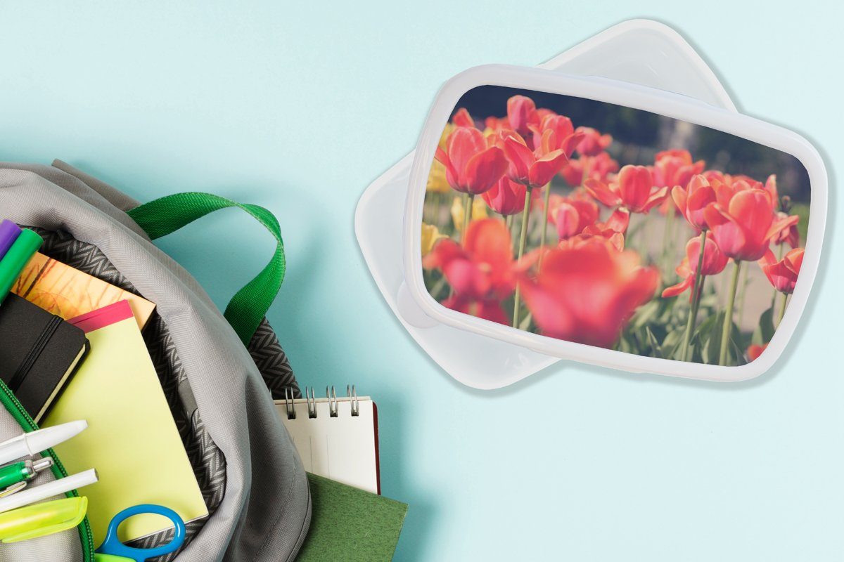 Erwachsene, und weiß Mädchen (2-tlg), - Brotbox Blumen Lunchbox für Tulpen für Jungs Natur, Brotdose, Kinder MuchoWow - und Kunststoff,