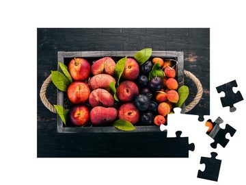 puzzleYOU Puzzle Aprikose, Pfirsich, Nektarine, Pflaume, 48 Puzzleteile, puzzleYOU-Kollektionen Obst, Essen und Trinken