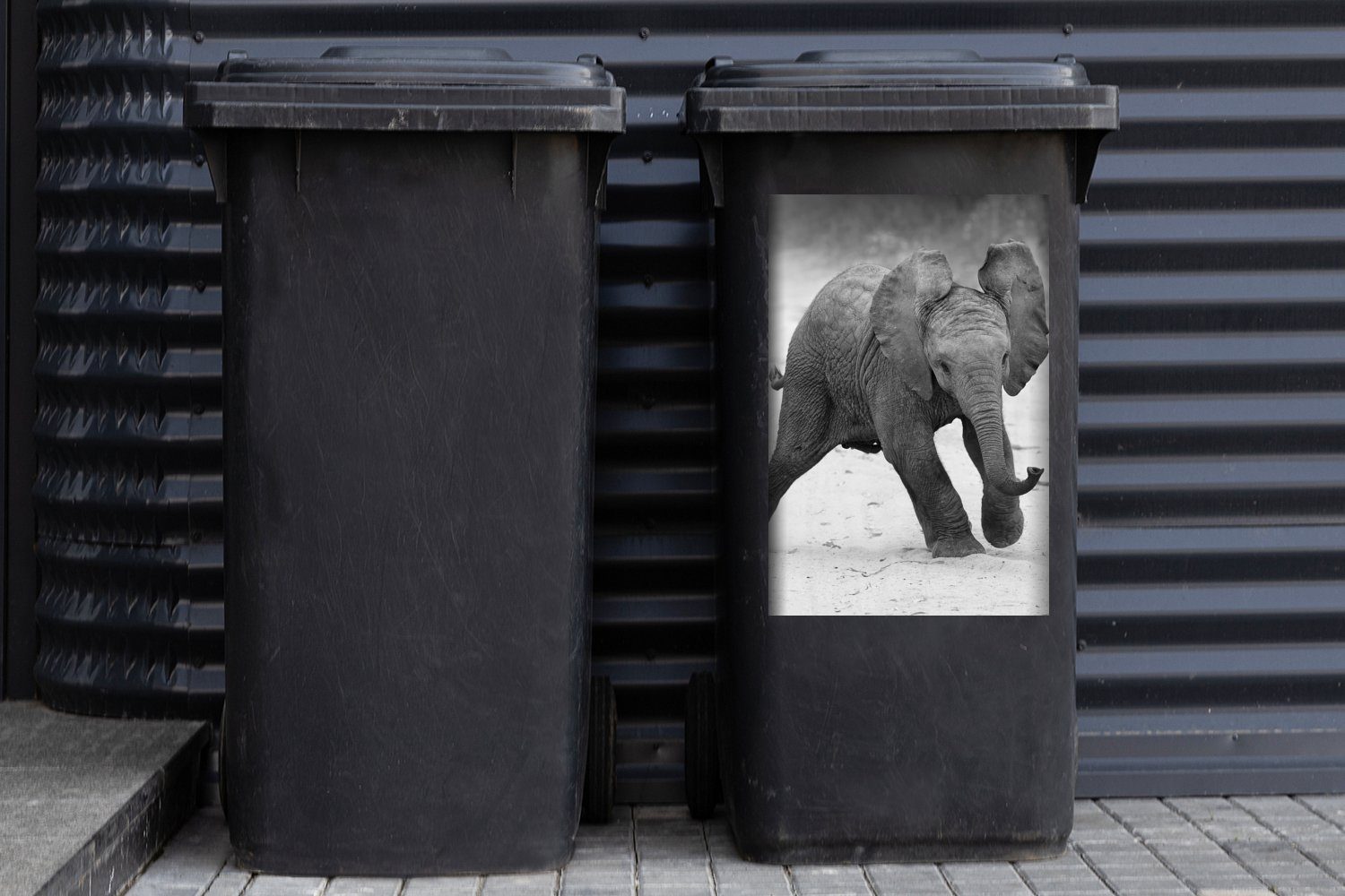 Baby Mülltonne, Tiere (1 - Elefant Kröte - Schwarz Mülleimer-aufkleber, - Abfalbehälter Wandsticker weiß Container, MuchoWow Sticker, und - St),
