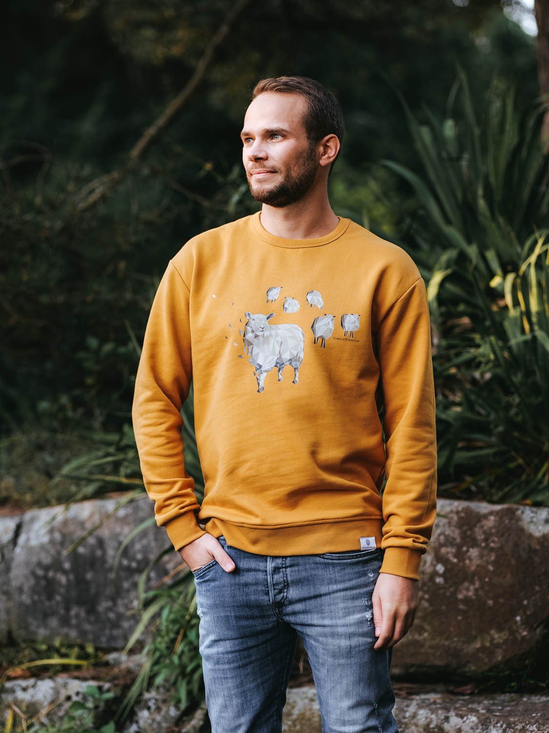 Biobaumwolle (Bio) CircleStances Sweater Schaf Sweater Print