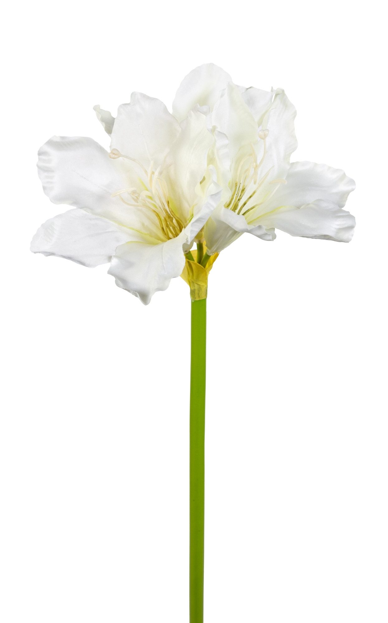 Kunstblume Amaryllis 65cm HB Dekoblumen künstliche Blumen Ritterstern, Seid günstig online kaufen