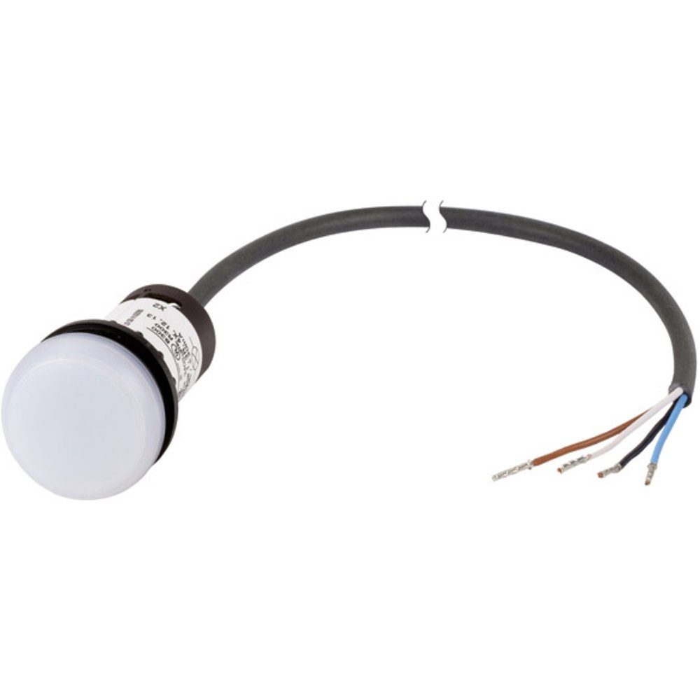 EATON Sensor Eaton C22-L-W-24-P62 Meldeleuchte flach Weiß 24 V DC/AC 1 St., (C22-L-W-24-P62)