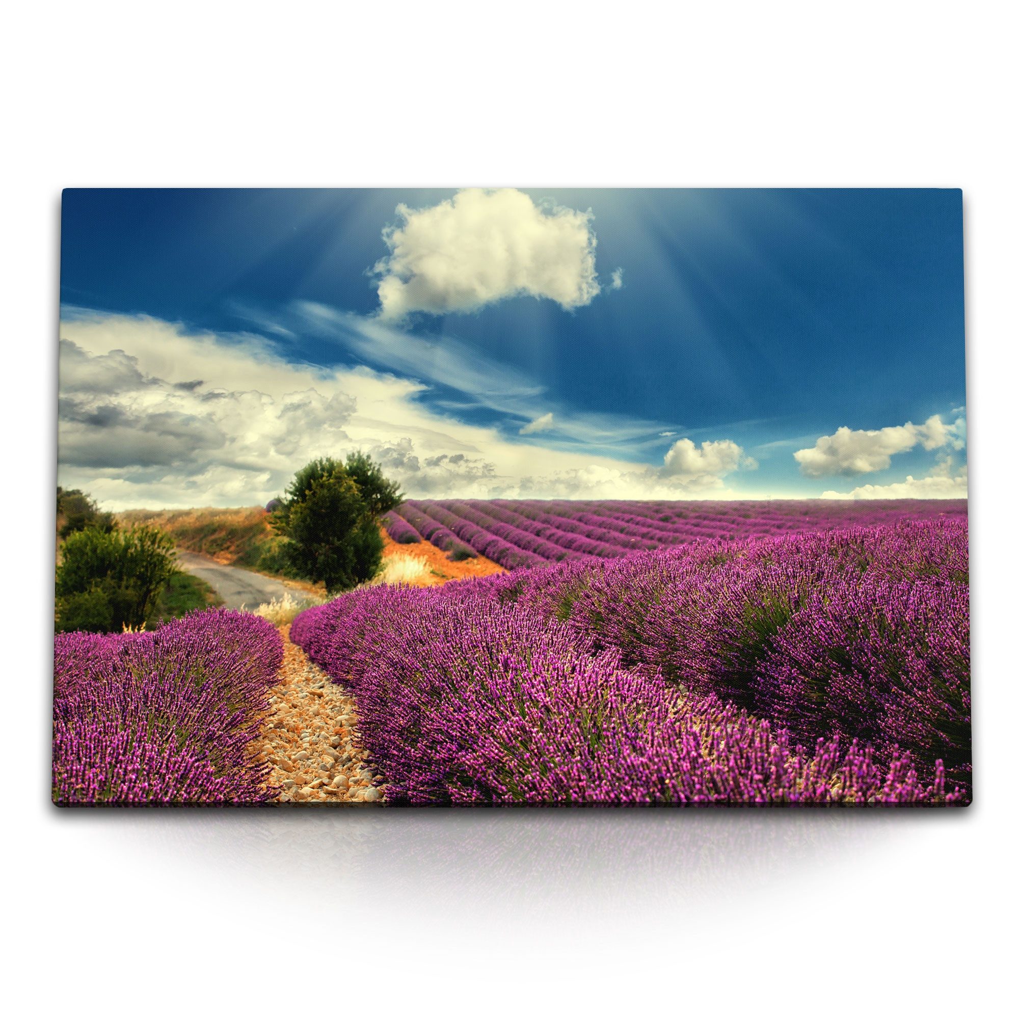 Sinus Art Leinwandbild 120x80cm Wandbild auf Leinwand Lavendel Lavendelfeld blauer Himmel Nat, (1 St)