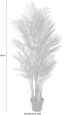 Kunstpalme Arecapalme Palme, Creativ green, Höhe 160 cm