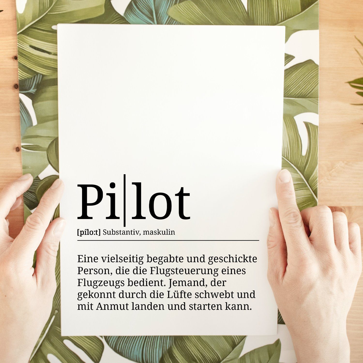Pilot Definition Poster Wandbild Tigerlino Geschenk