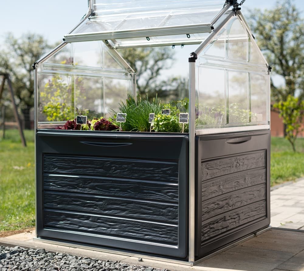 Palram - Canopia Hochbeet Plantino (1 günstig online kaufen