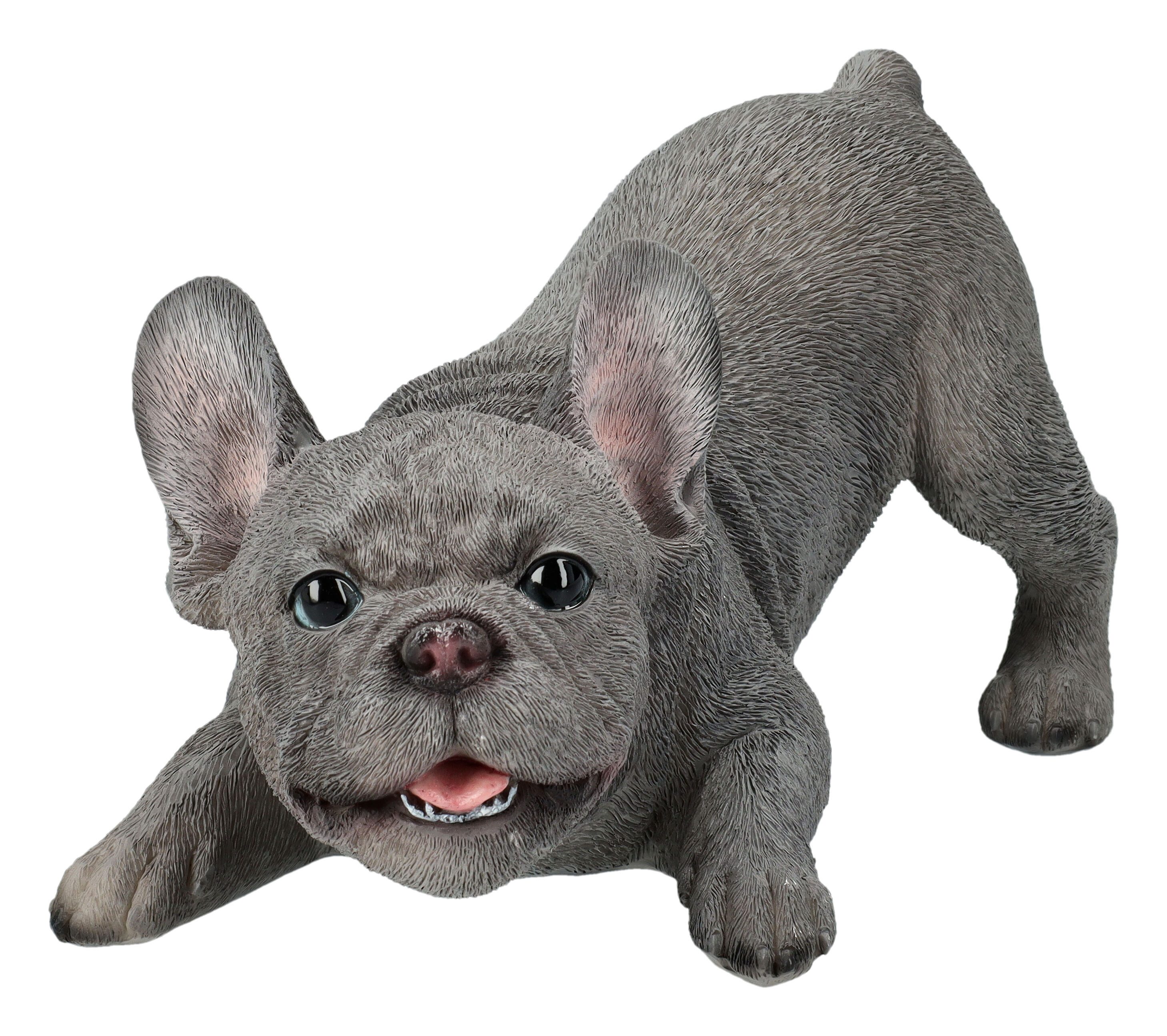 Figuren Shop GmbH Gartenfigur Französische Bulldogge Figur - Welpe will spielen - HotAnt - Dekofigur
