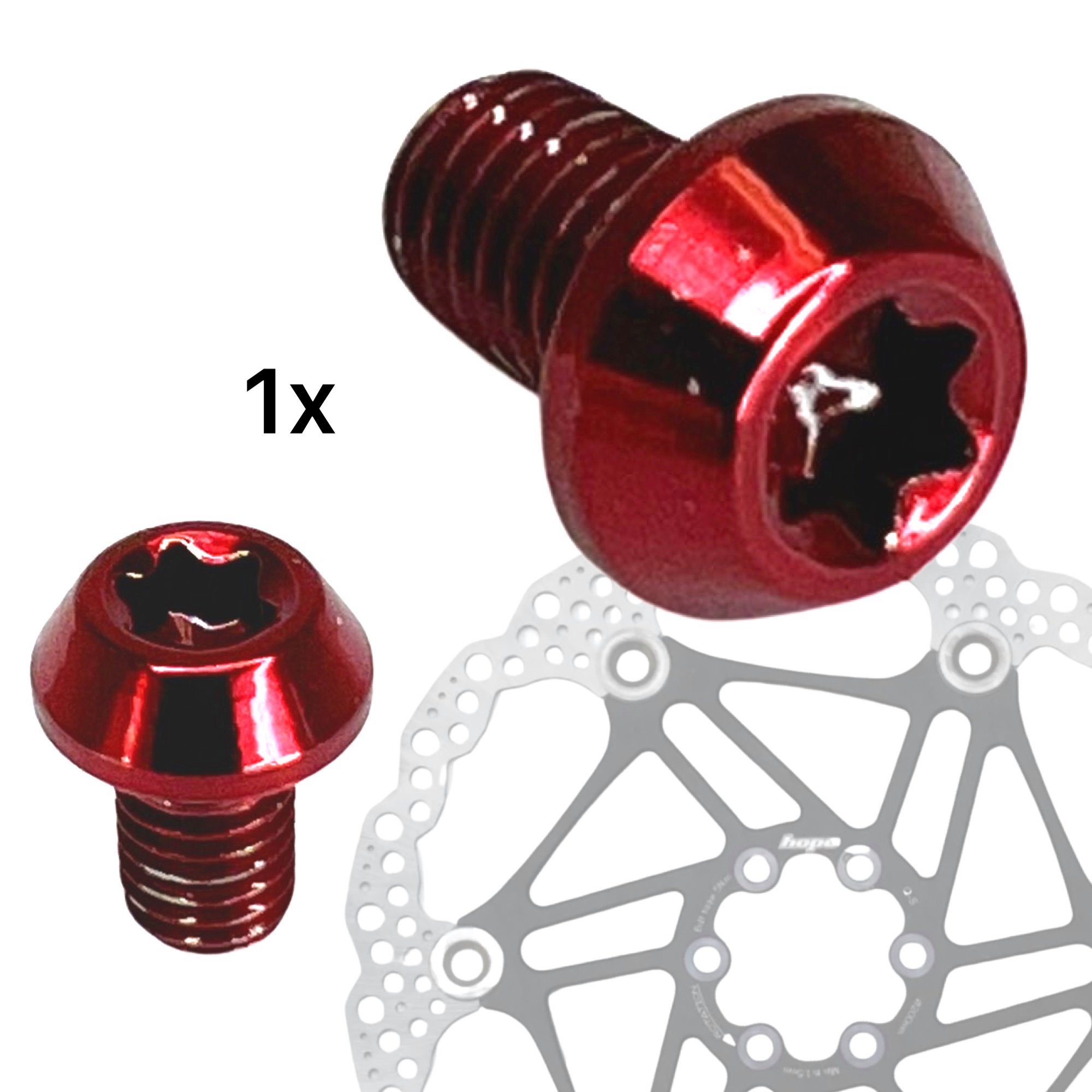 Fantic26 Scheibenbremse Titan M5 x 8mm Torx T25 Fahrrad Bremsscheiben Befestigungs Schraube