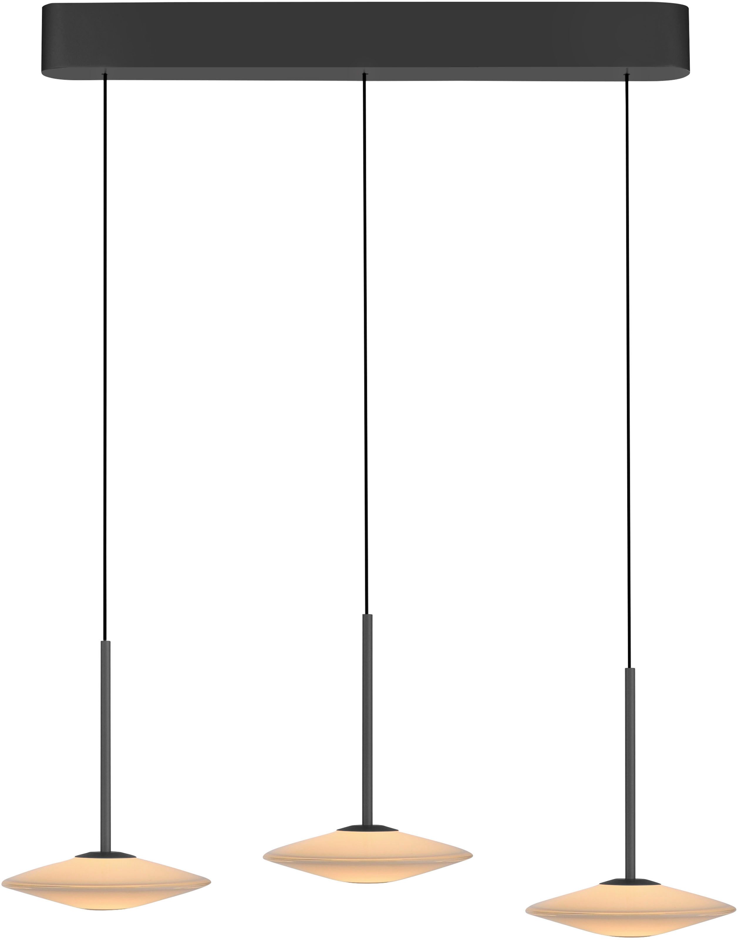 Paul Neuhaus LED Pendelleuchte ELIPSA, LED fest integriert, Warmweiß, Dimmfähig über separaten Tronicdimmer, Comfort-Lift