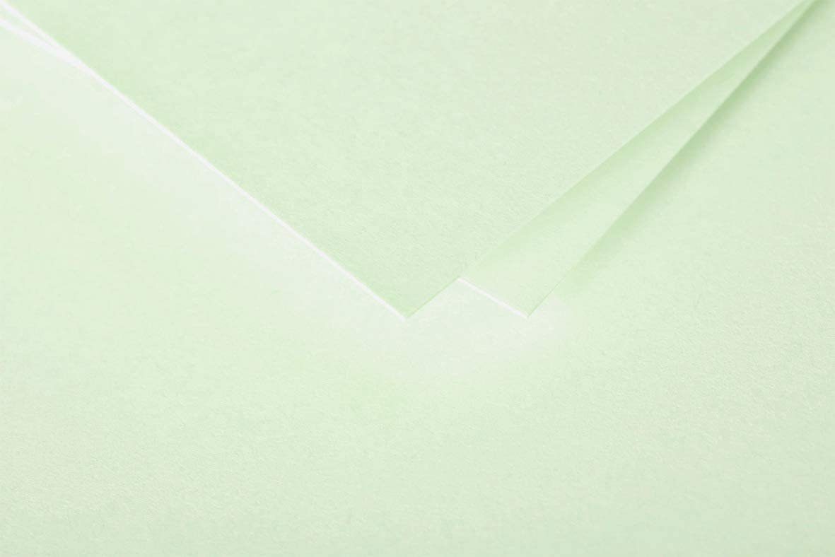 24205C 210g/m² Drucker- und CLAIREFONTAINE Papier 25 Grün Pollen Blatt Clairefontaine DIN-A4 Kopierpapier