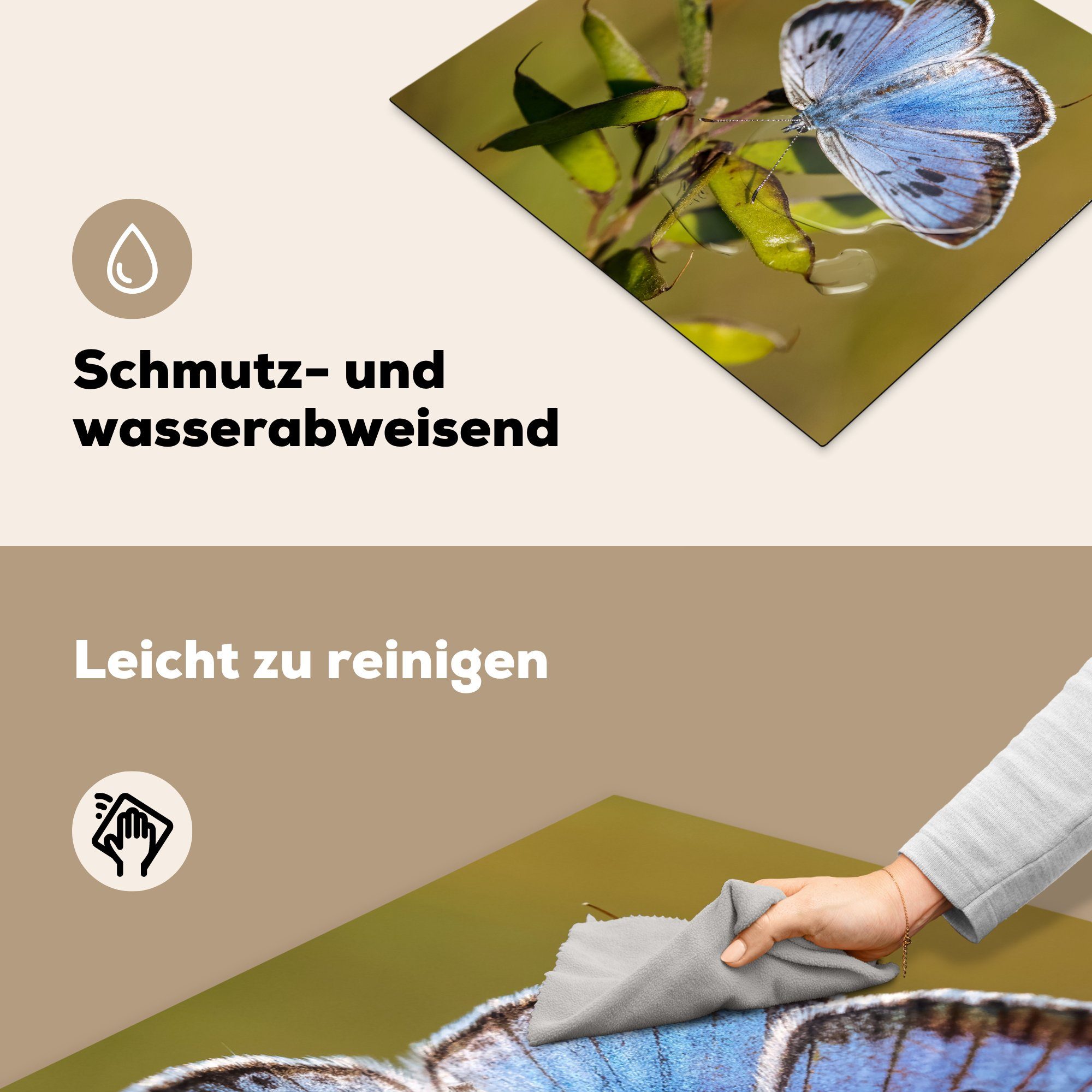 Tigerblauer Ceranfeldabdeckung Schmetterling grünen Herdblende-/Abdeckplatte cm, Arbeitsfläche auf Mobile tlg), Vinyl, (1 60x52 Blättern, nutzbar, MuchoWow