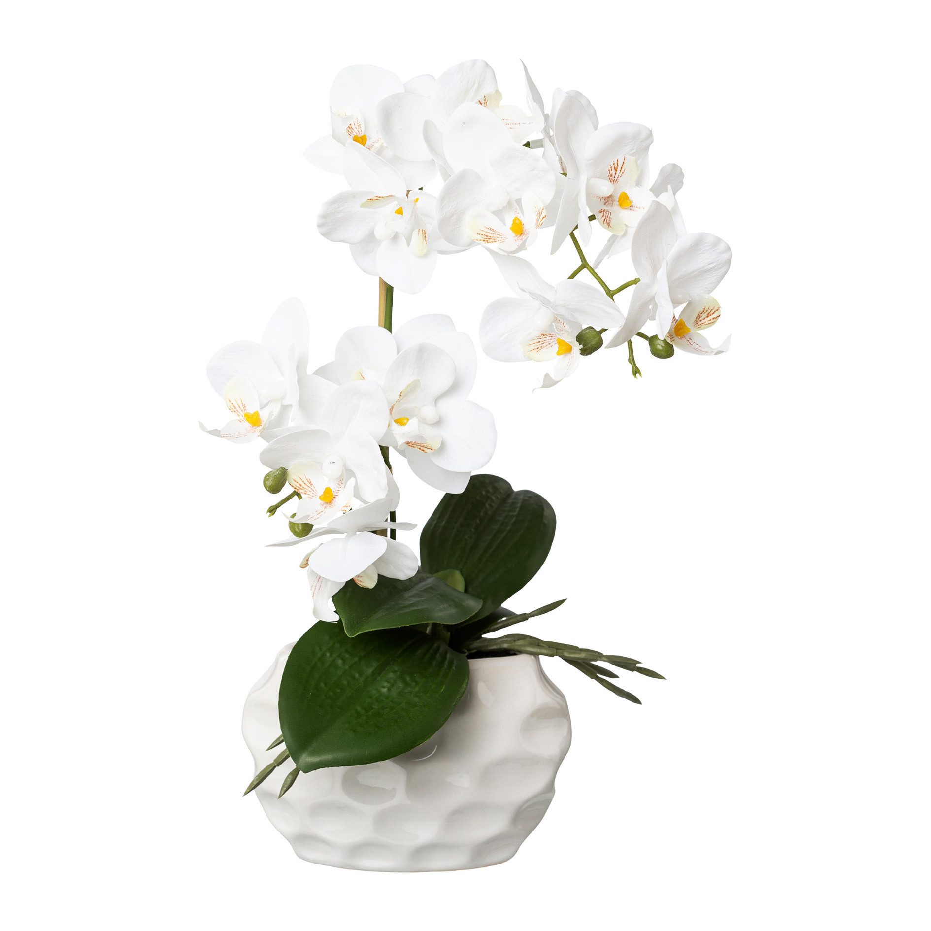 Kunstorchidee Kunstpflanze Orchidee, weiss, ca. 33 cm hoch in Keramiktopf, günstig online kaufen