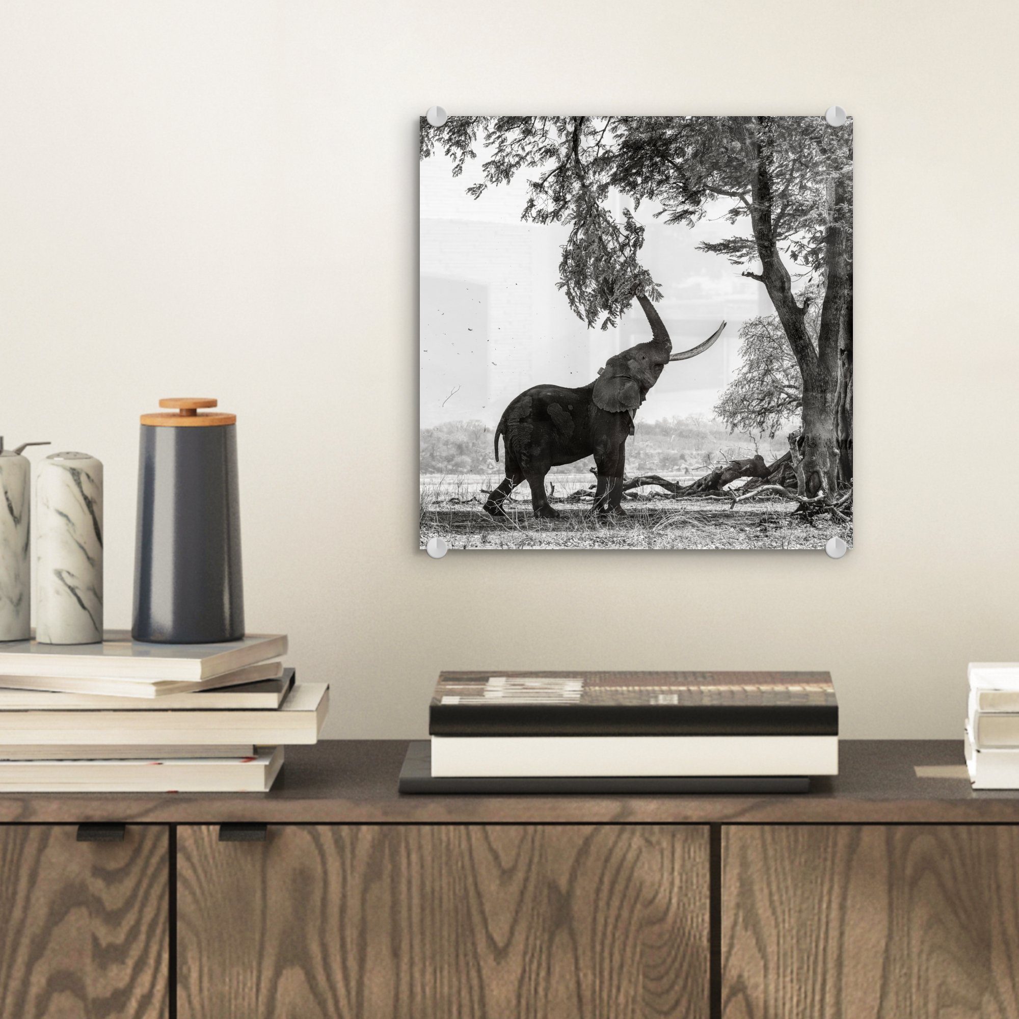 Tiere Wanddekoration - (1 Wandbild und - - - Bilder MuchoWow Glasbilder Elefant auf Baum Glas weiß, auf Schwarz Acrylglasbild Glas - Foto - St),