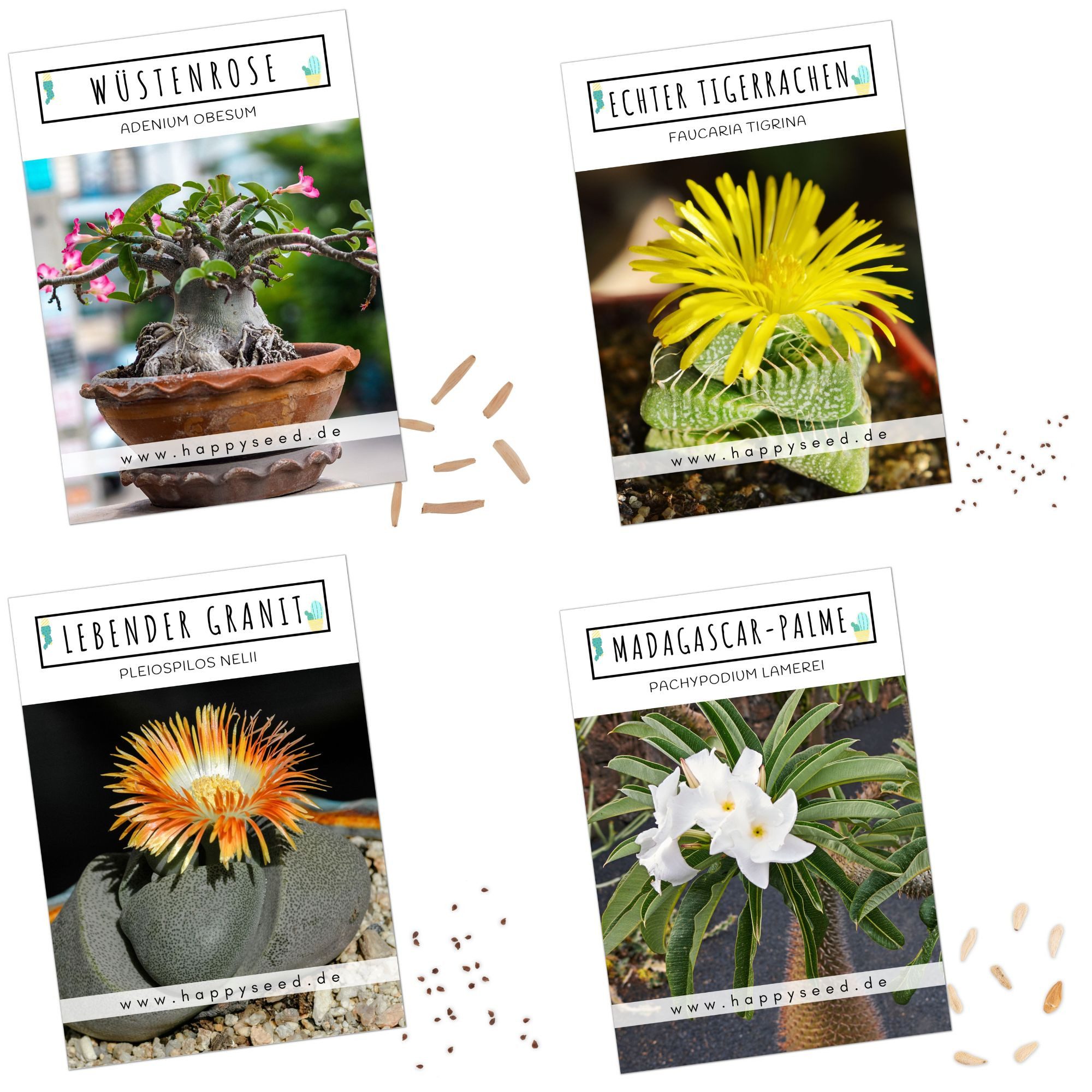 HappySeed Blumensamen Exotische Kakteen Samen mit hoher Keimrate - 4er Set günstig online kaufen