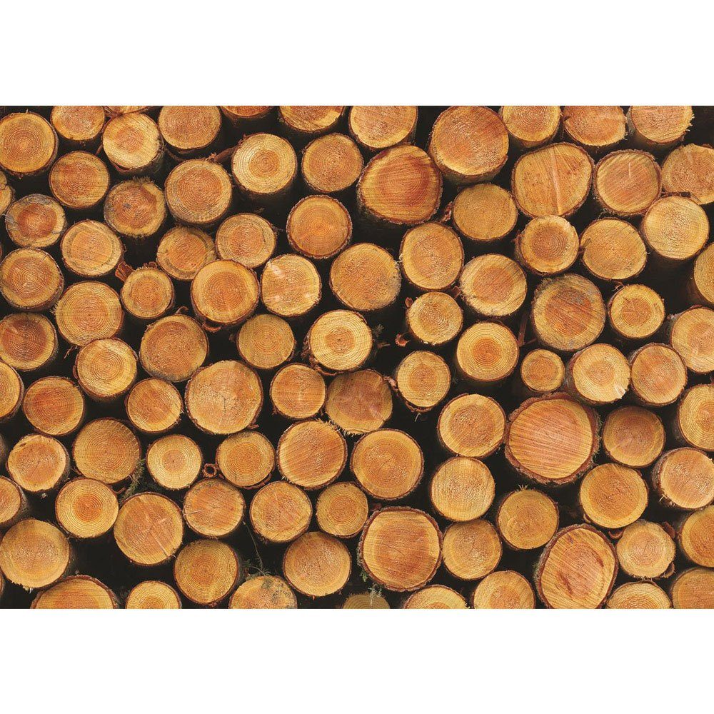 Stämme liwwing Holz Wald Fototapete Natur 1716, no. Fototapete liwwing Holz Holzstamm