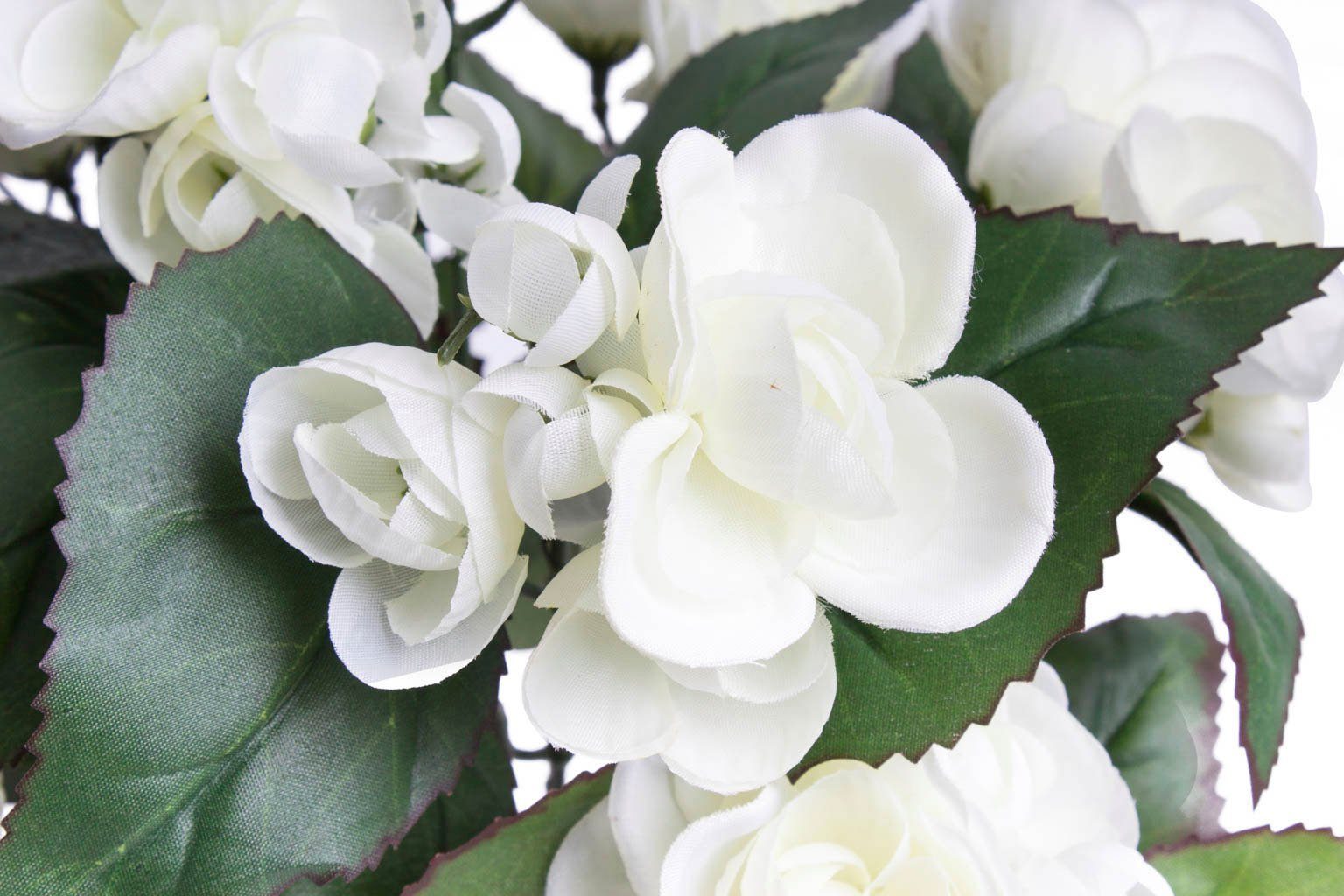 Kunstblume Begonie im Topf Begonie, Botanic-Haus, günstig online kaufen