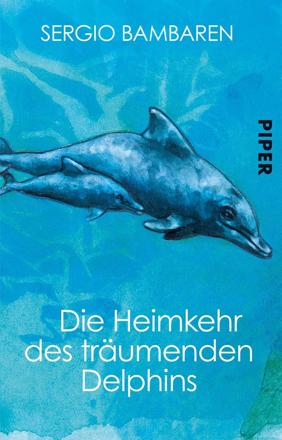 Die Heimkehr des träumenden Delphins / Sergio Bambaren, Roman