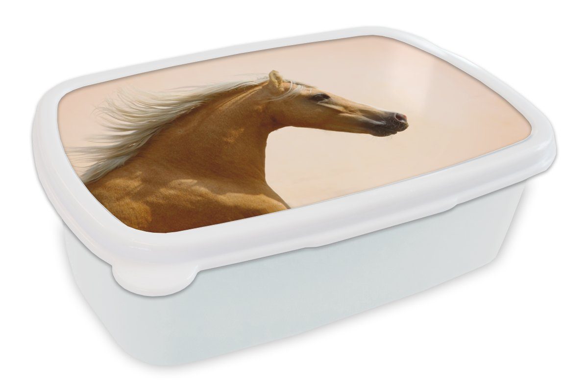 MuchoWow Lunchbox Pferd - Licht - Luft, Kunststoff, (2-tlg), Brotbox für Kinder und Erwachsene, Brotdose, für Jungs und Mädchen weiß