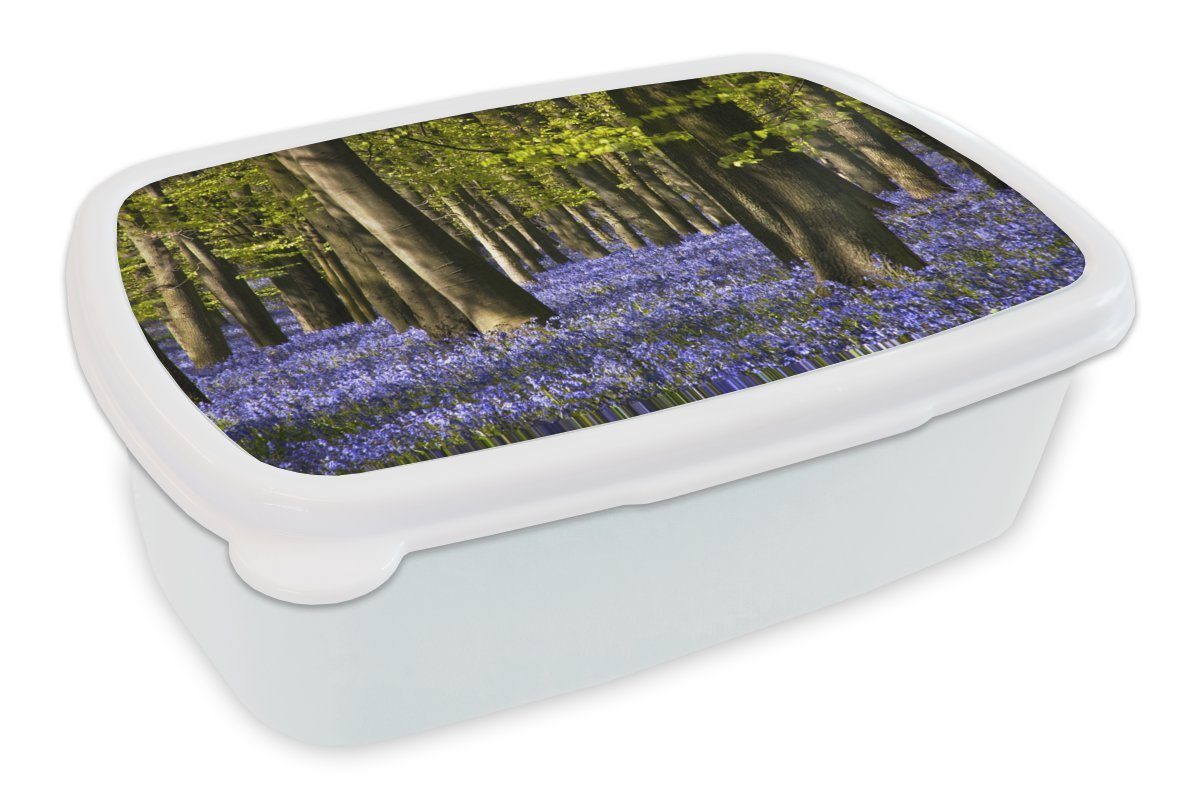 die MuchoWow Lunchbox weiß Kinder und violetten für Zwischen Bäumen Blüten liegen Brotdose, der Mädchen Kunststoff, und Jungs (2-tlg), Sternhyazinthe, für Erwachsene, den Brotbox
