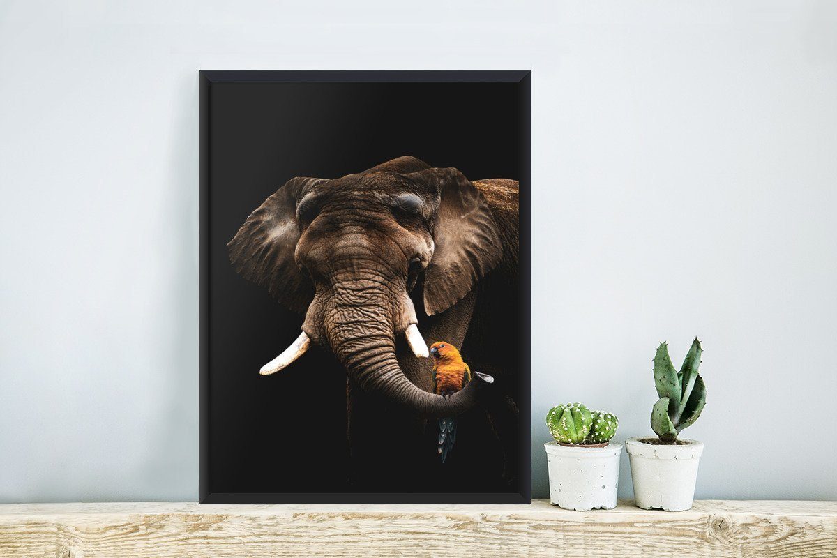 MuchoWow Poster Elefant - Schwarz Gerahmtes Bilder, Wanddeko, Poster, Schwarzem Bilderrahmen Papagei, - St), (1 Wandposter