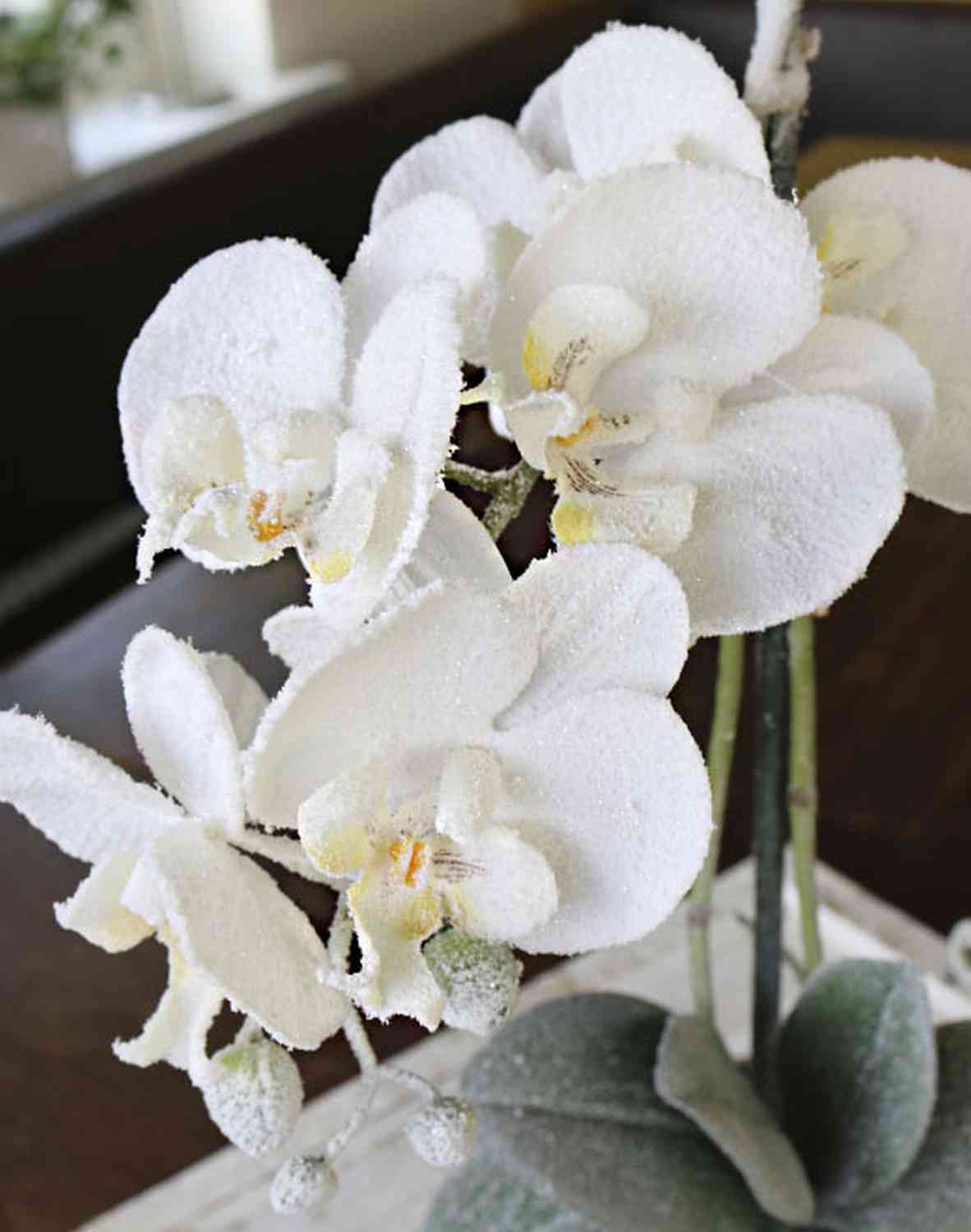Kunstorchidee Phalaenopsis Orchidee künstlich Karen, Dekotopf, gefroren, weiß, 50cm Orchidee (Orchidee phalaenopsis), artplants, Höhe 50.0 cm